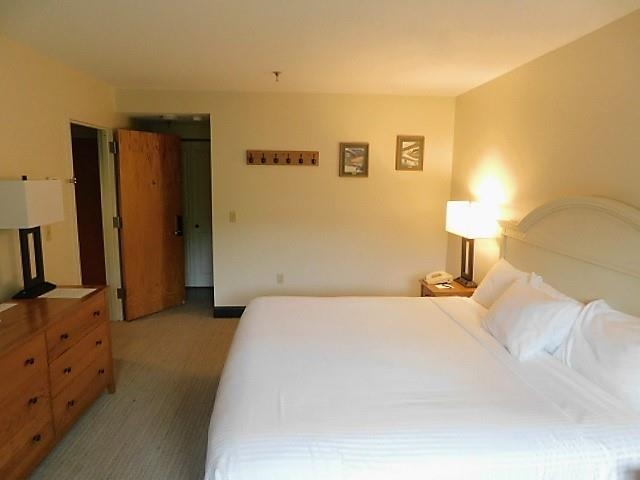 90 Loon Mountain Road Property Photo 19