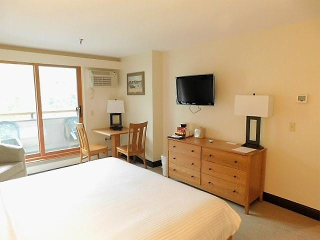 90 Loon Mountain Road Property Photo 20