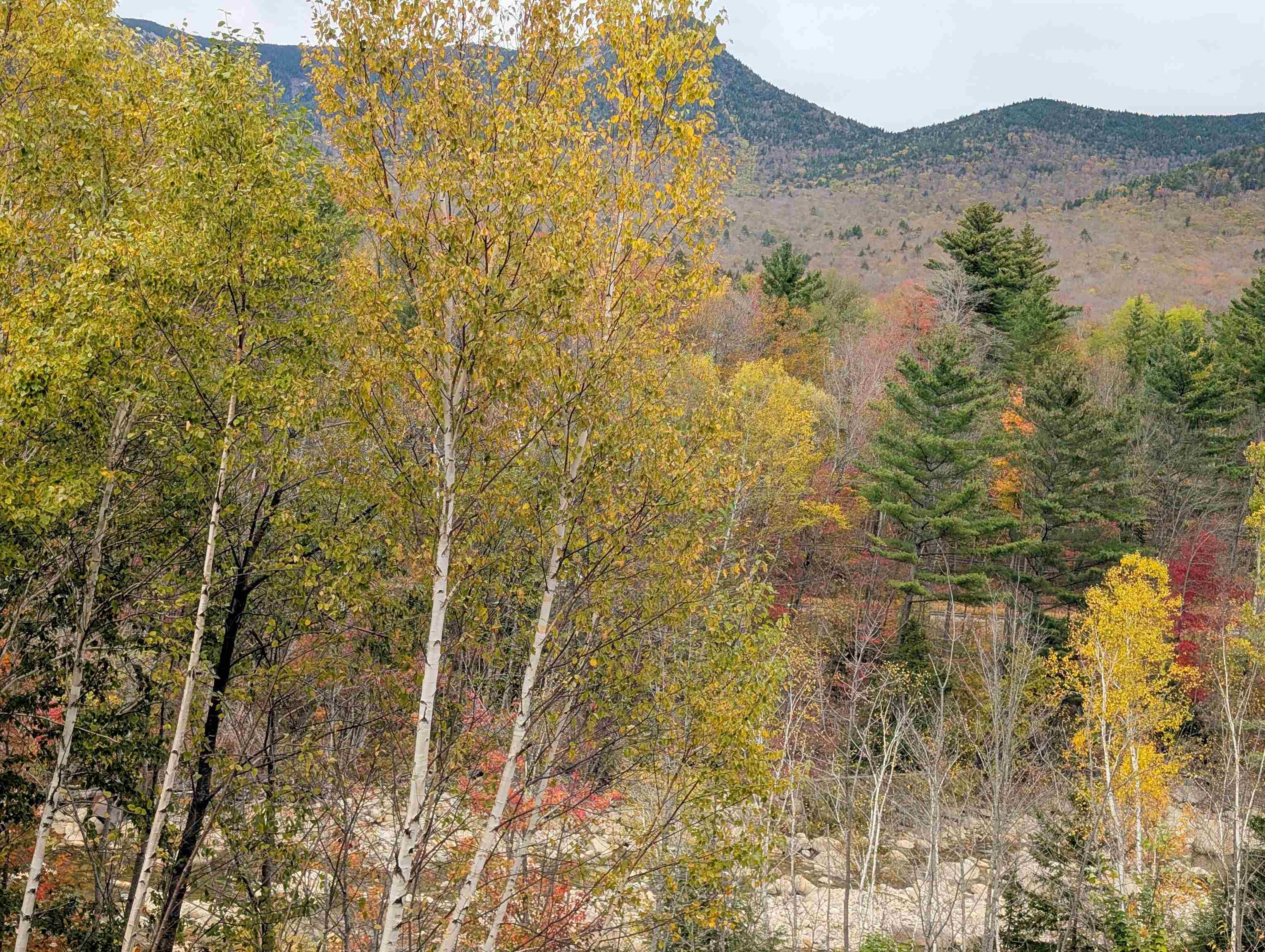 90 Loon Mountain Road Property Photo 23