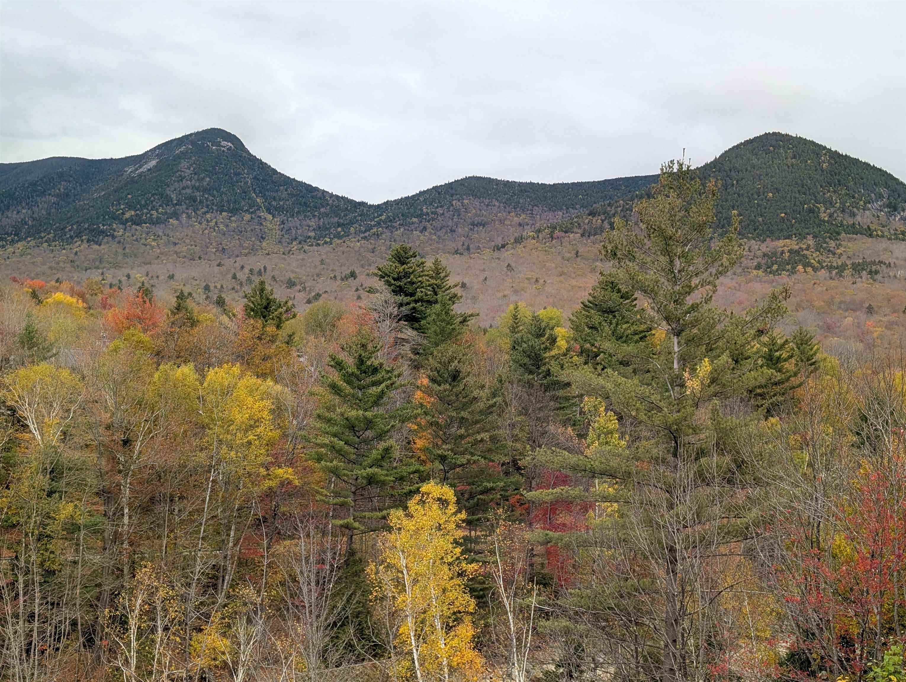 90 Loon Mountain Road Property Photo 24