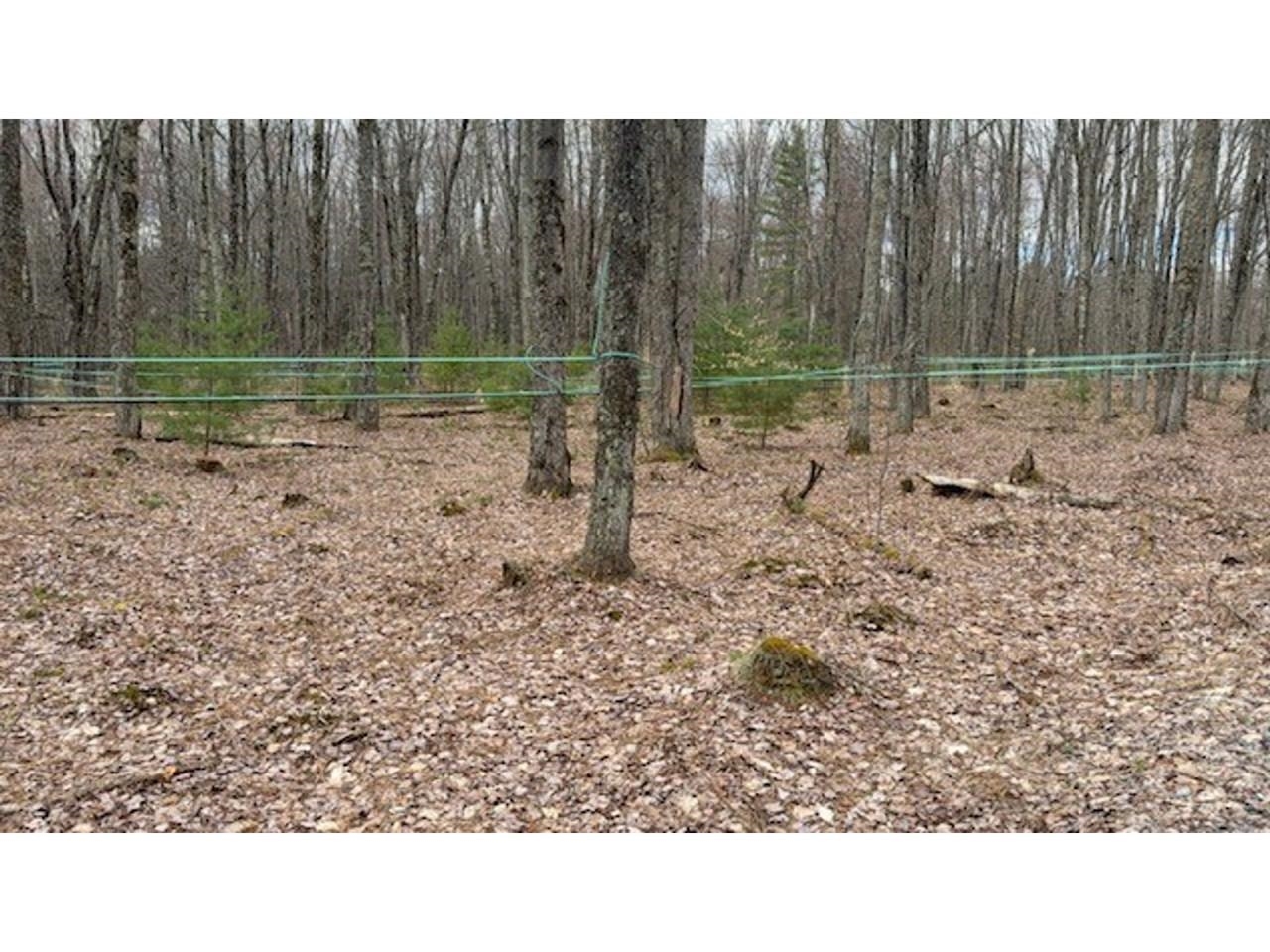 2334 Pumpkin Village Road Property Photo 32