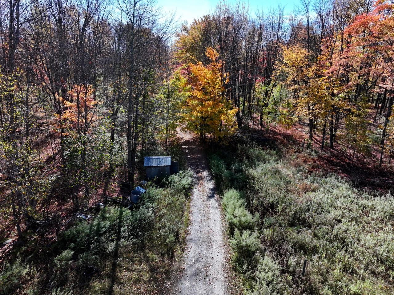 2334 Pumpkin Village Road Property Photo 37