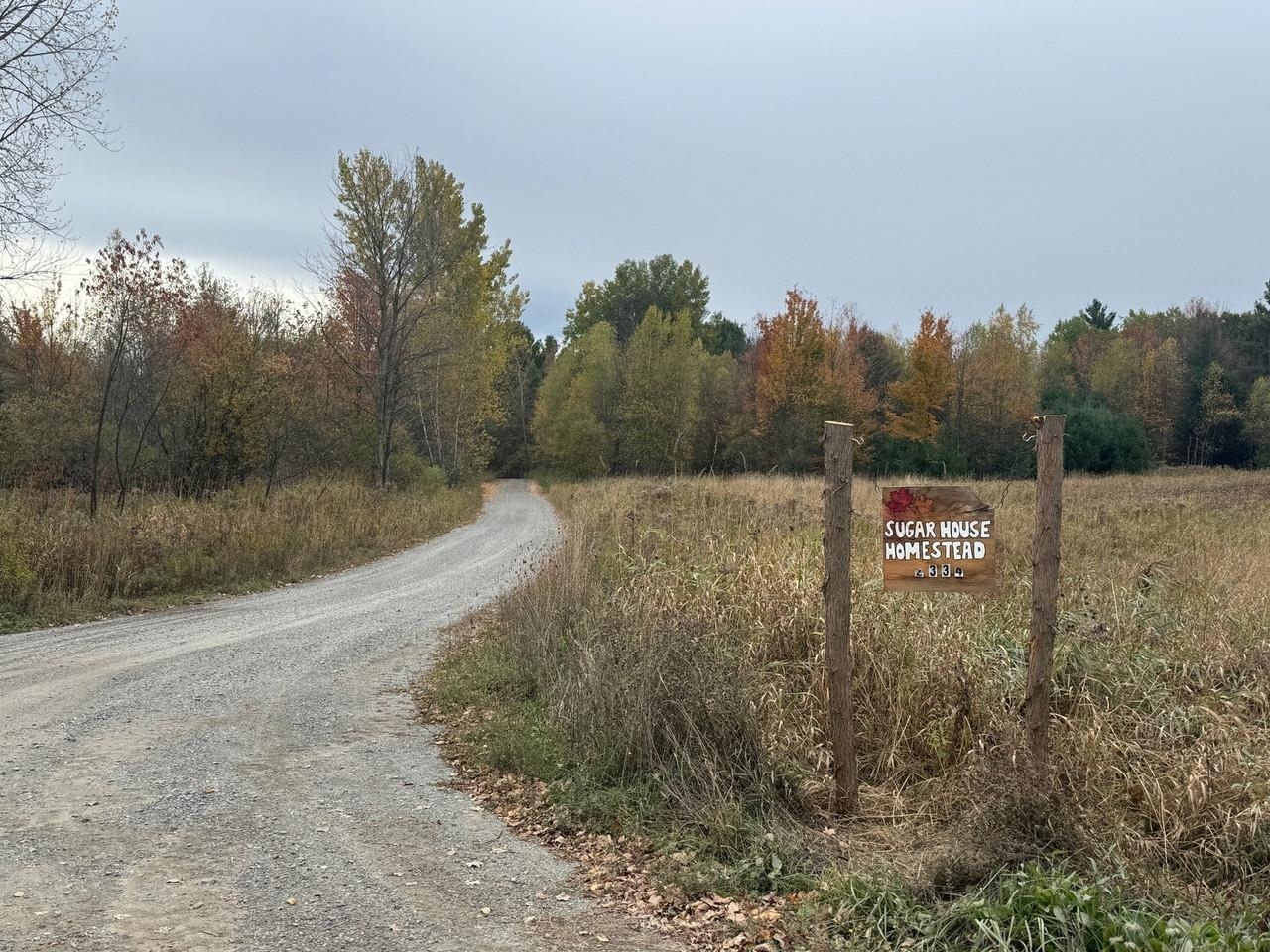 2334 Pumpkin Village Road Property Photo 41