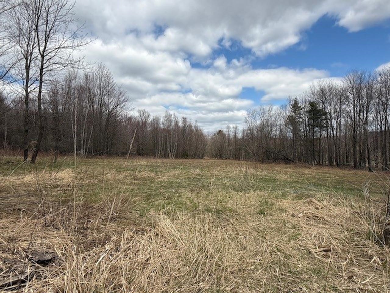 2334 Pumpkin Village Road Property Photo 42