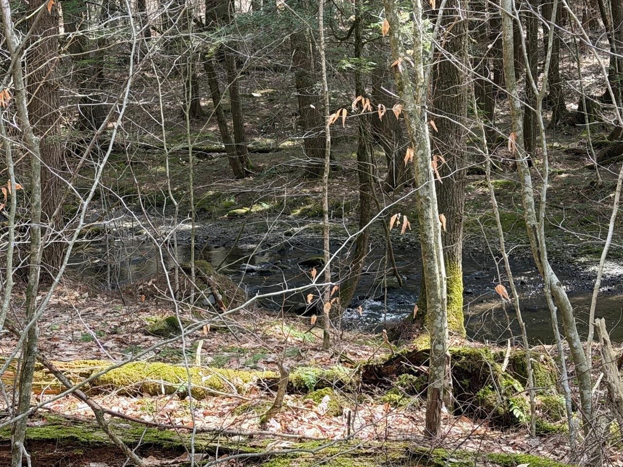 2334 Pumpkin Village Road Property Photo 46