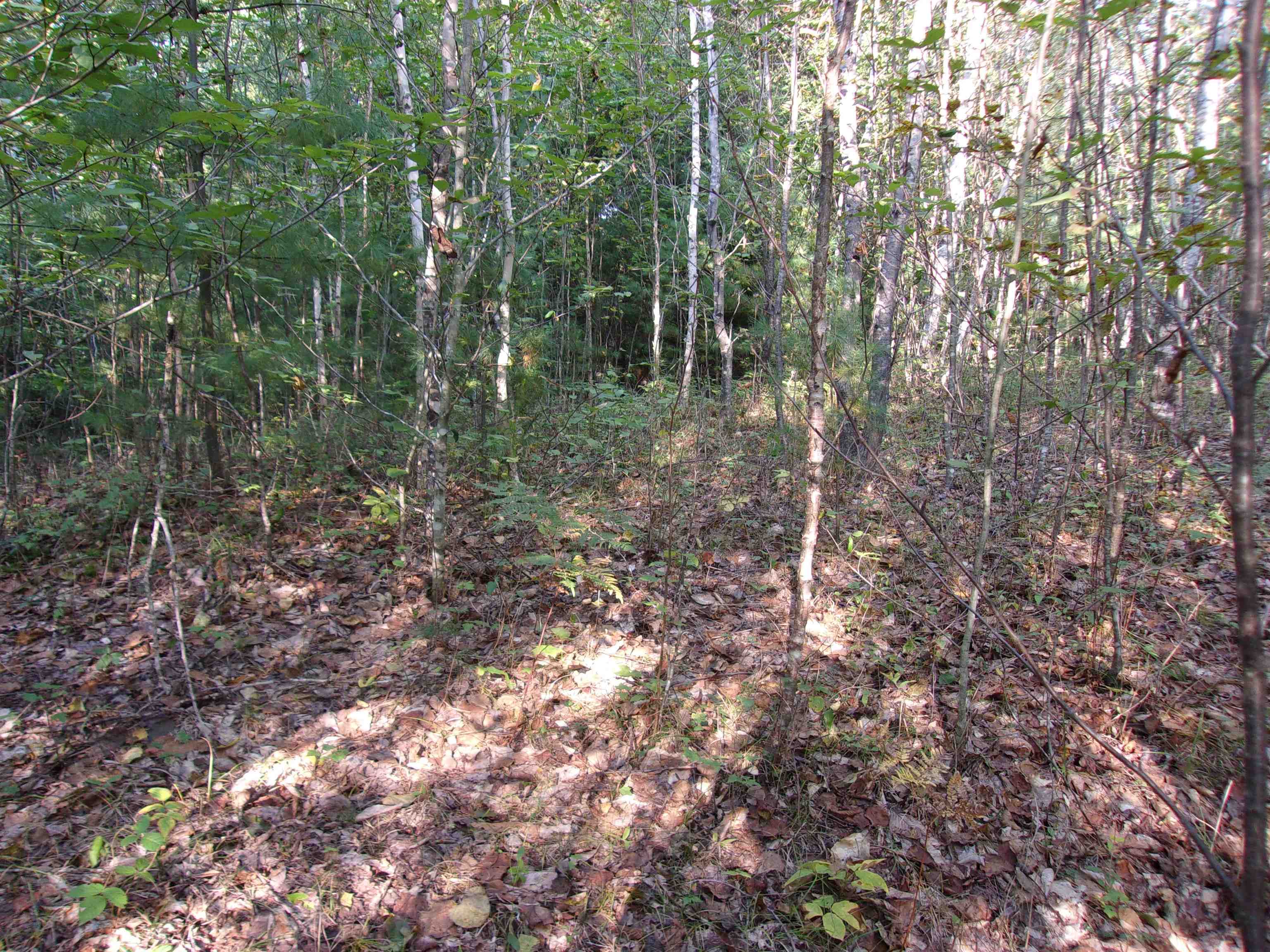 Fenn Way Circle Property Photo 5