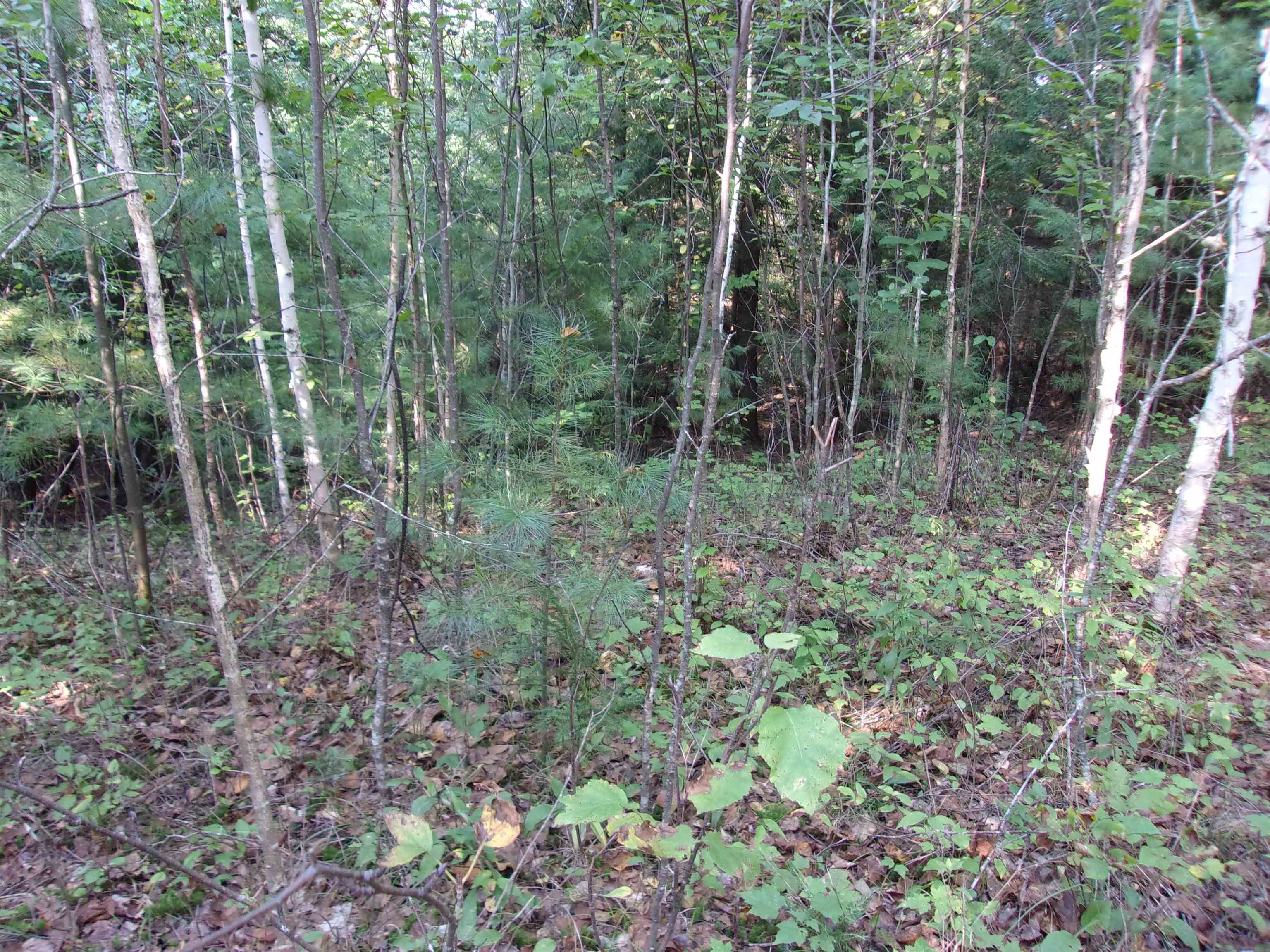 Fenn Way Circle Property Photo 6
