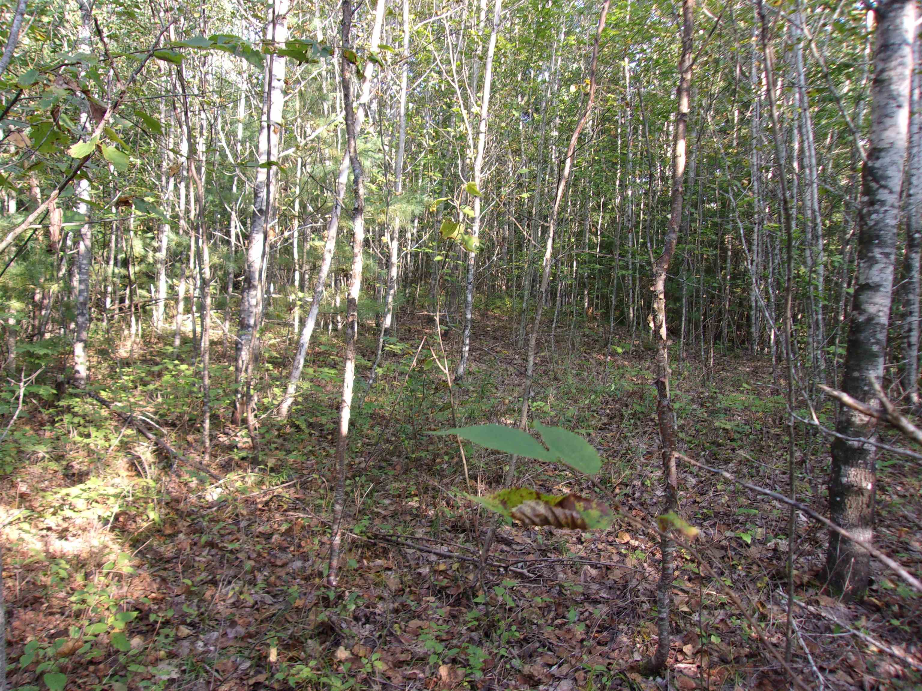 Fenn Way Circle Property Photo 7