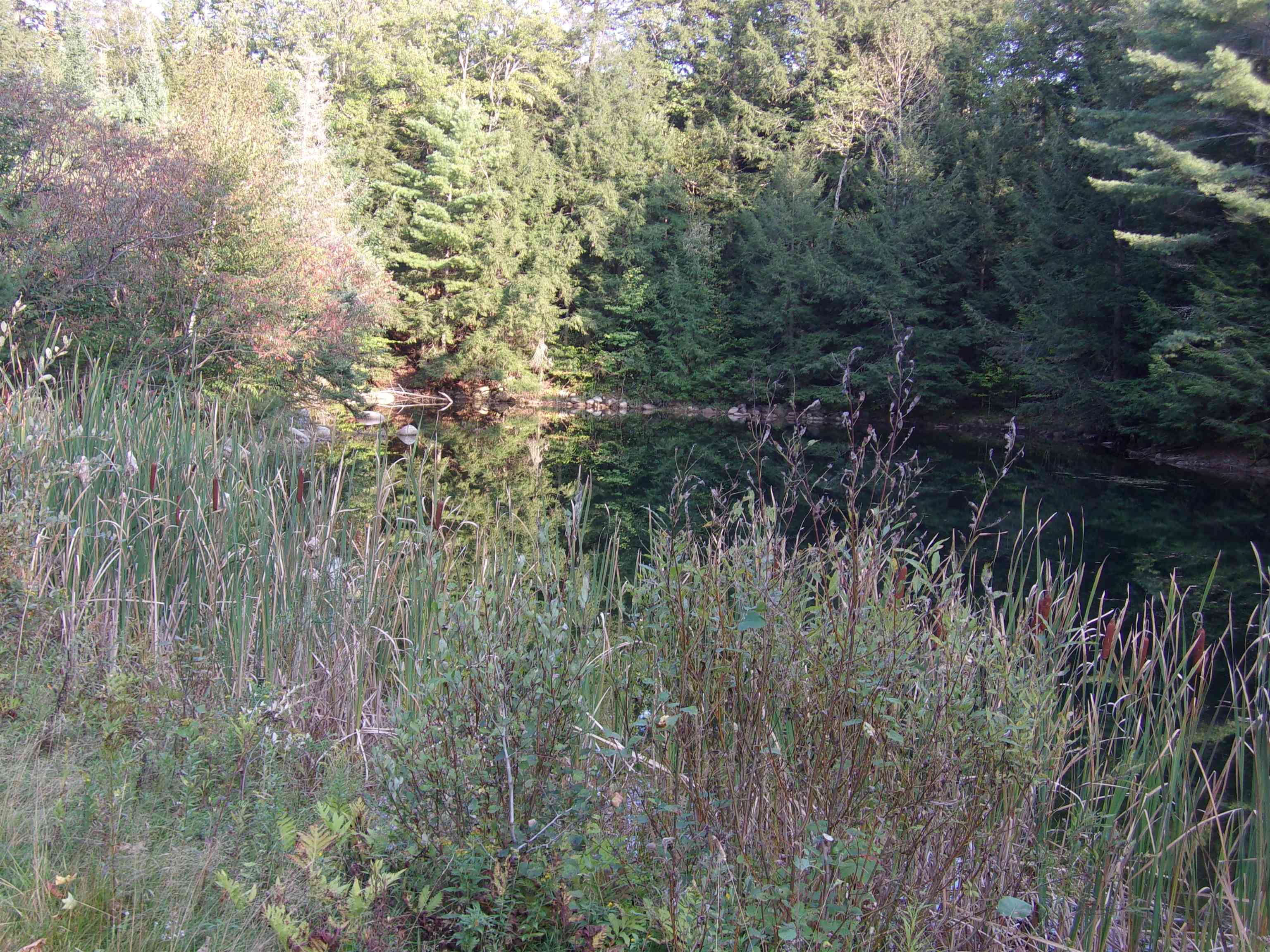 Fenn Way Circle Property Photo 11