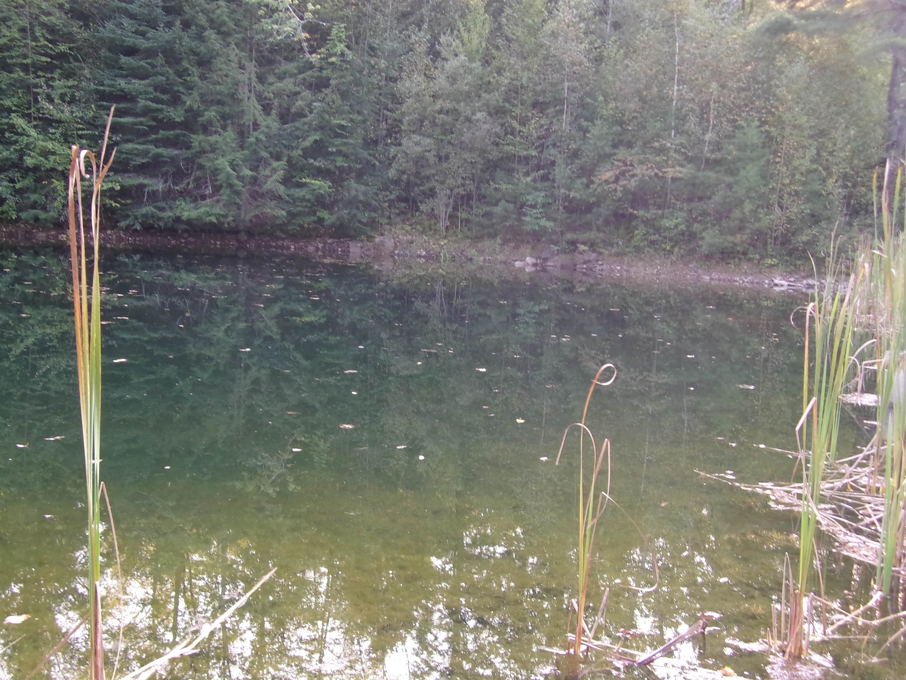 Fenn Way Circle Property Photo 12