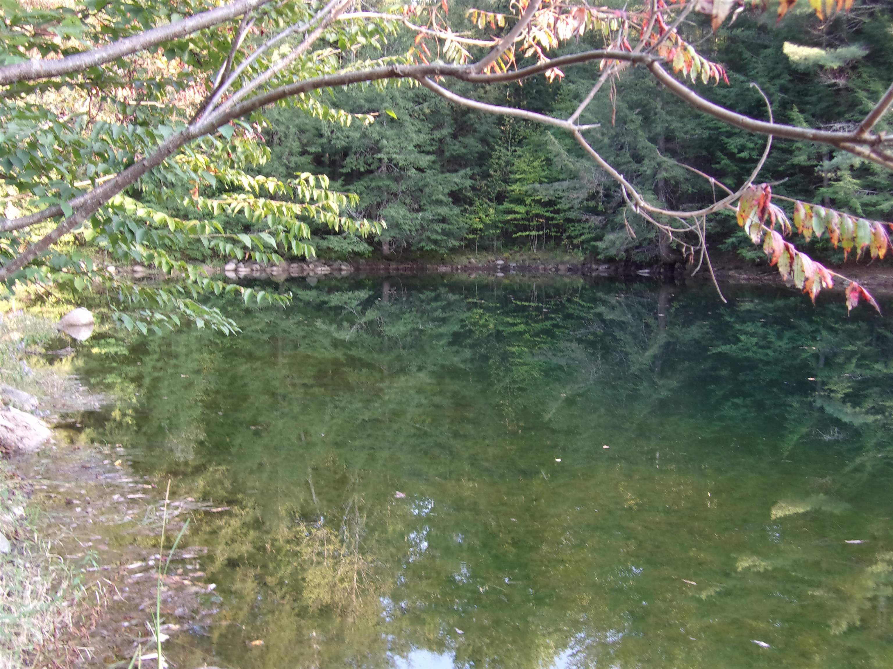 Fenn Way Circle Property Photo 13
