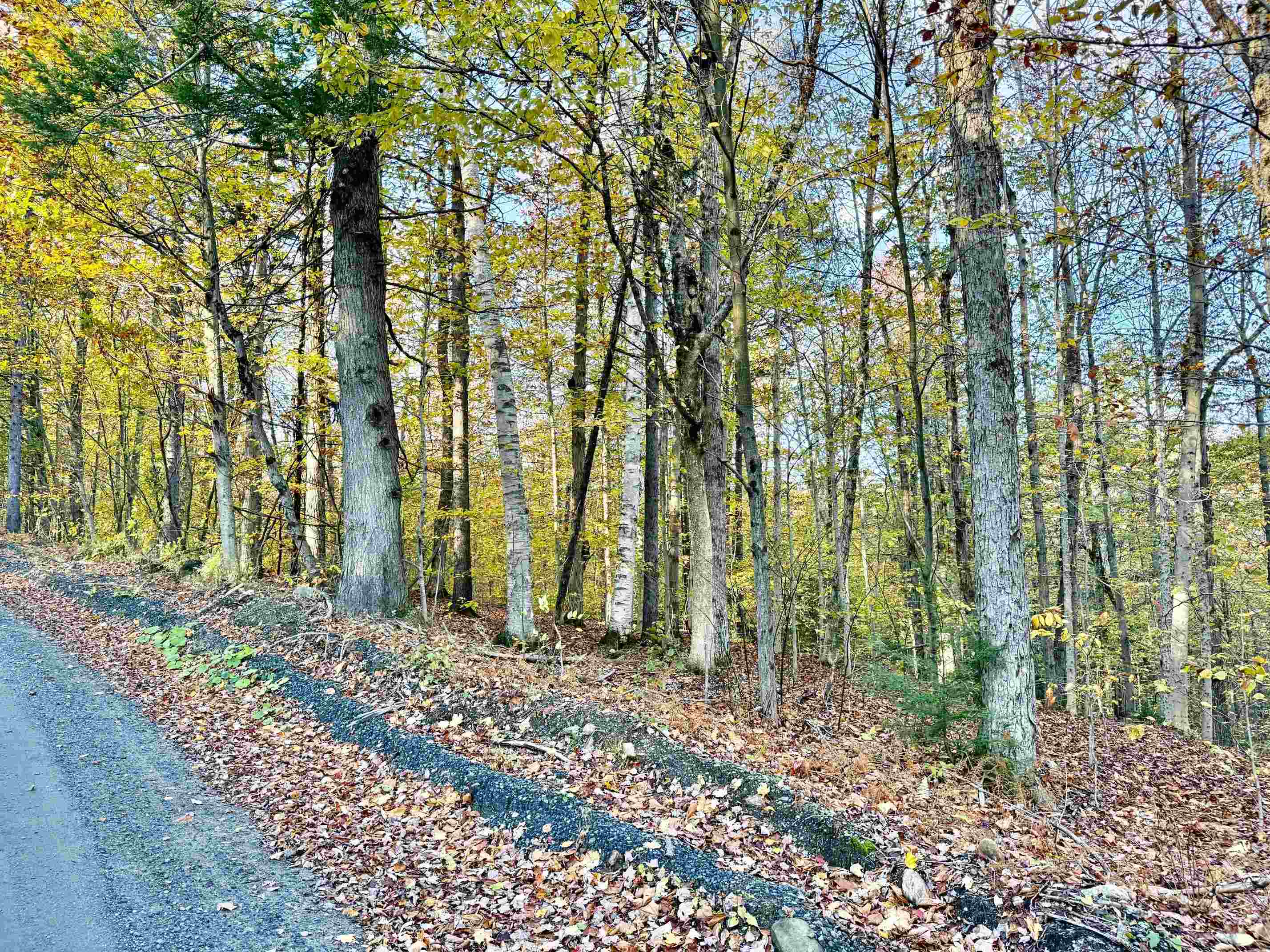 0 Townshend Dam Road Property Photo 3