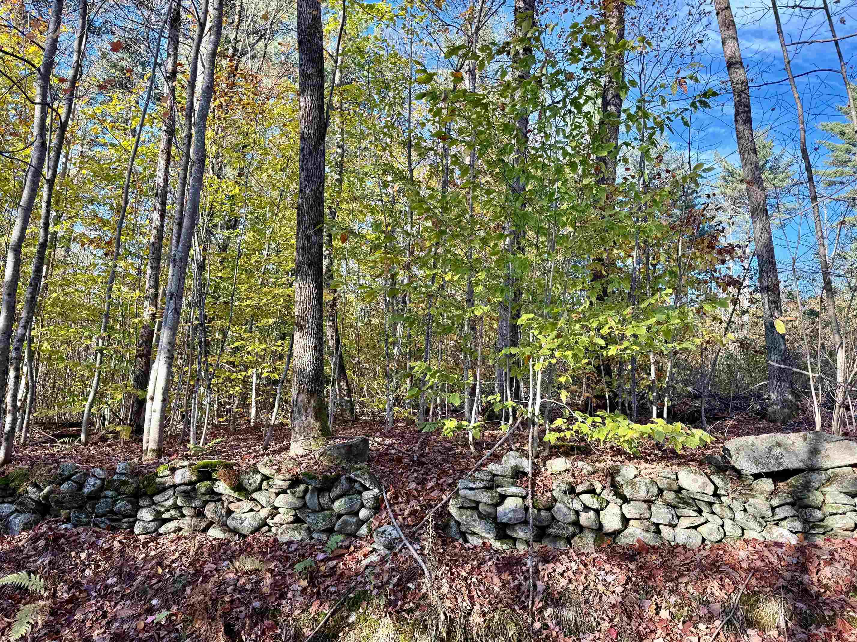 0 Townshend Dam Road Property Photo 4