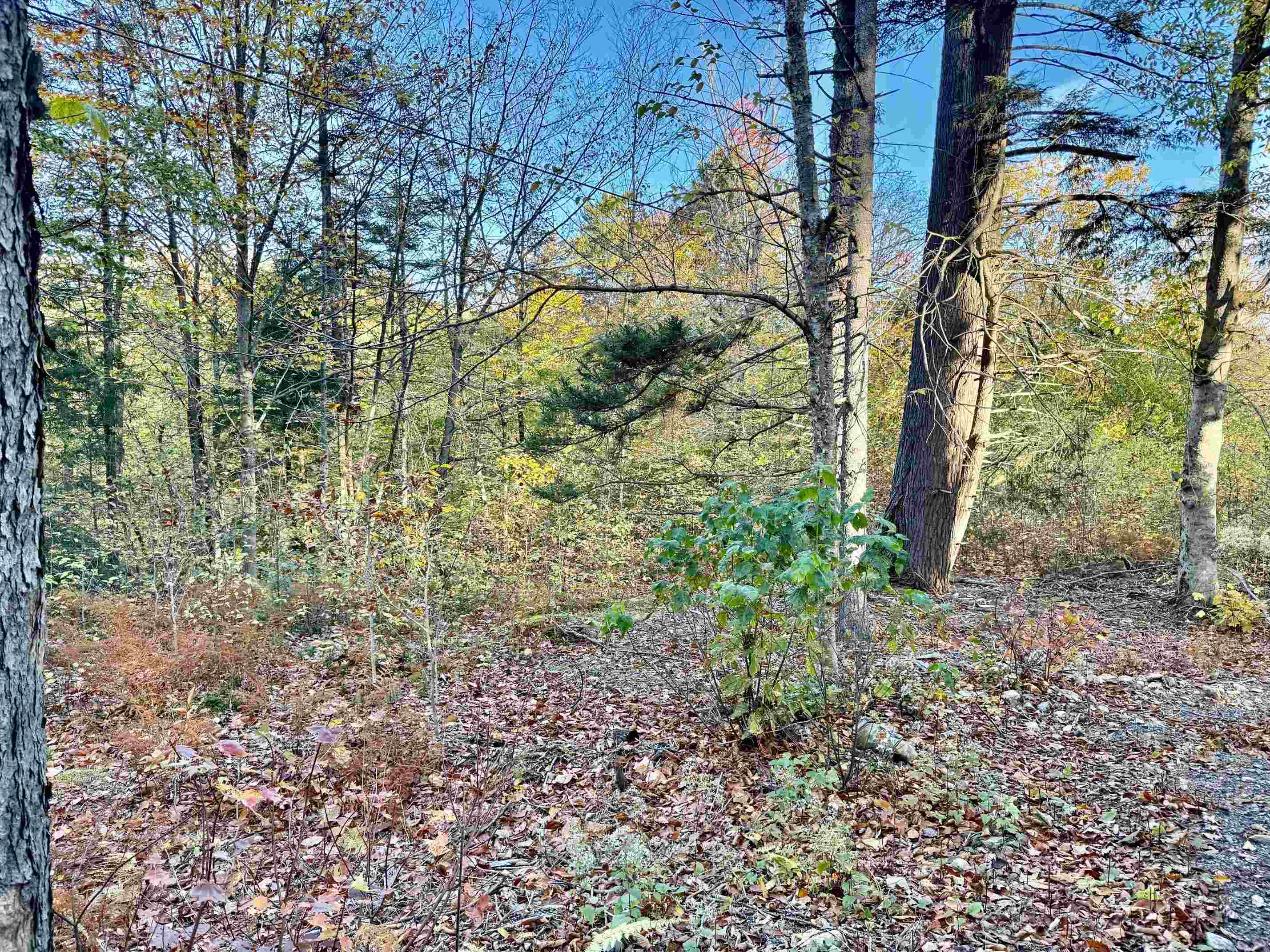 0 Townshend Dam Road Property Photo 7