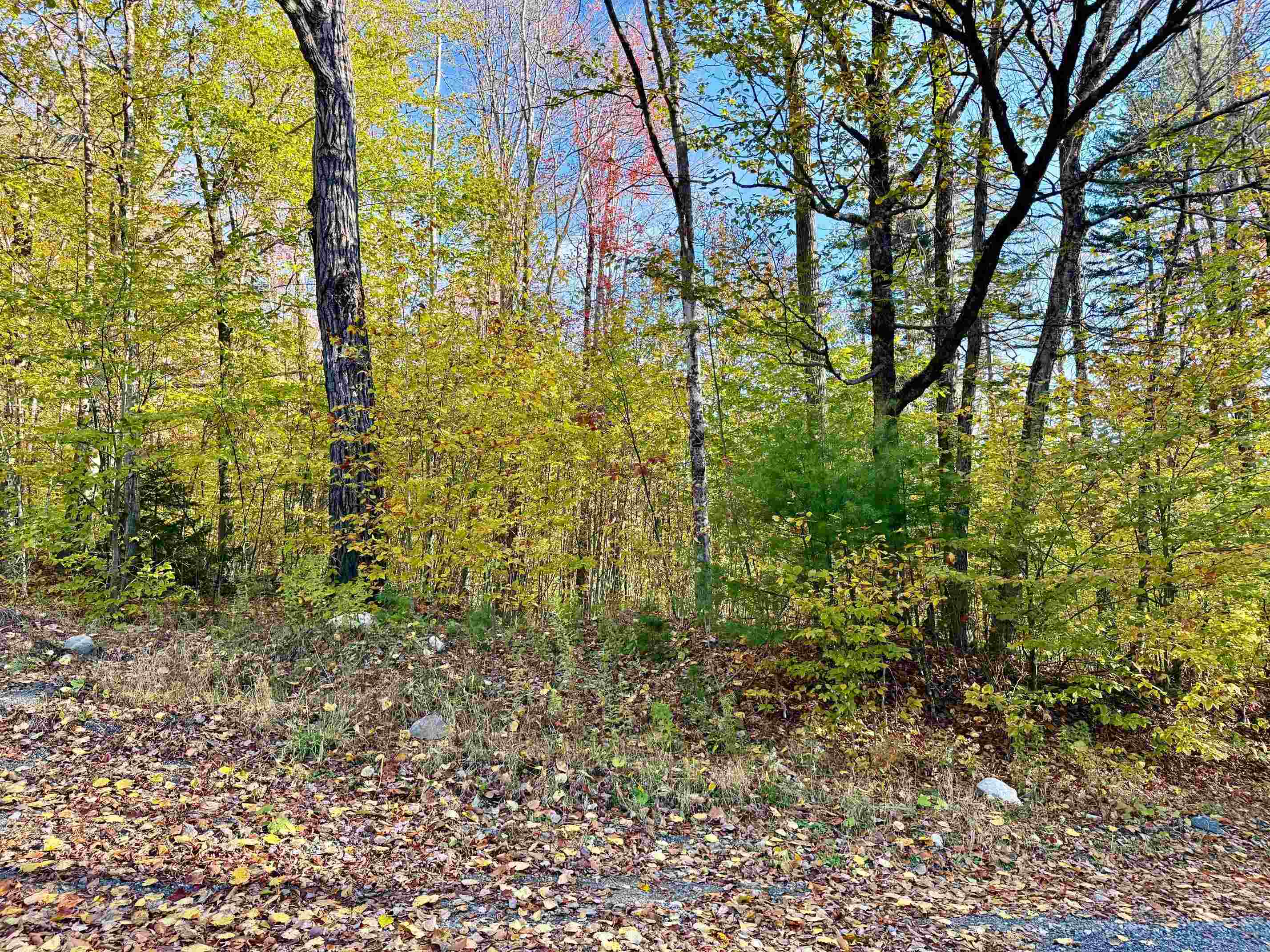 0 Townshend Dam Road Property Photo 8