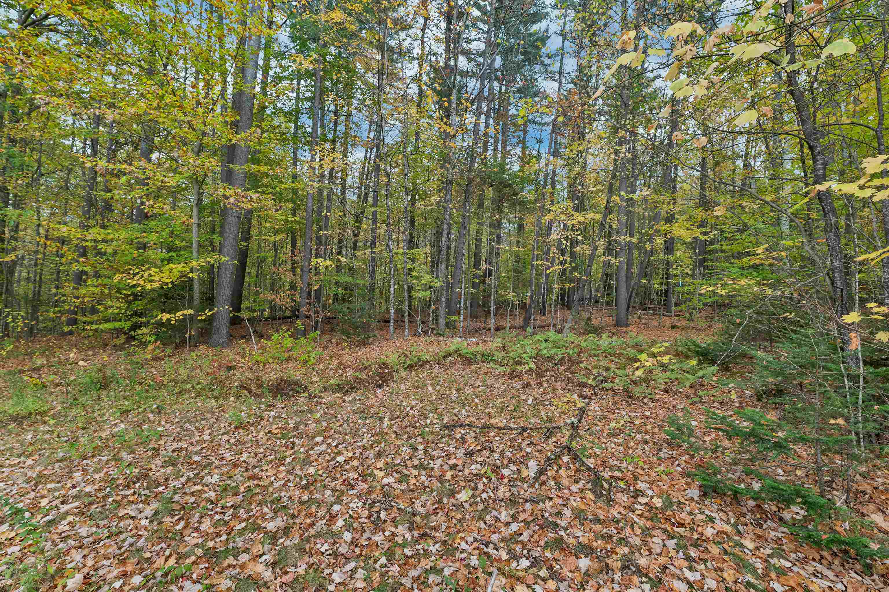 88 Donovan Farm Road Property Photo 37