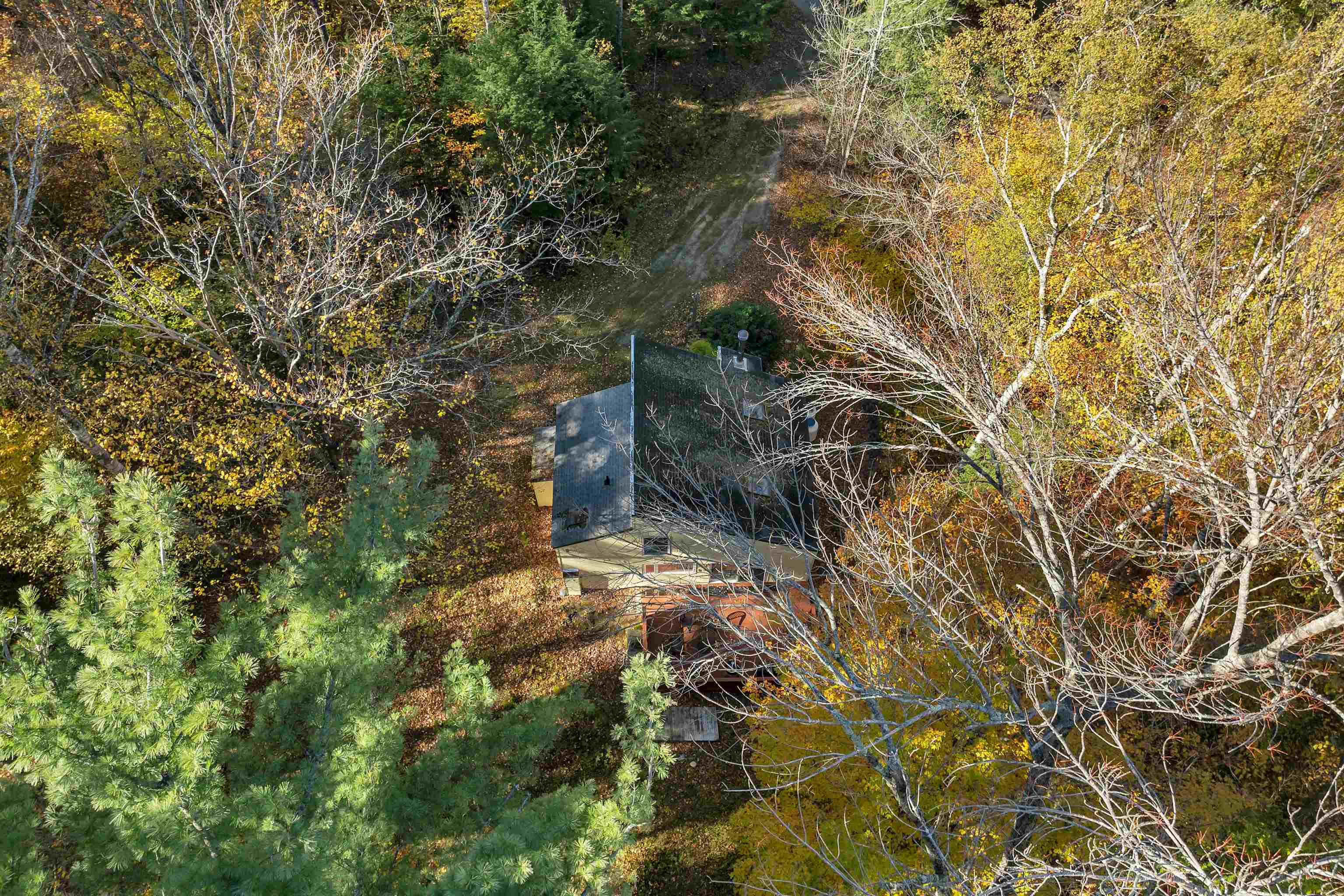 88 Donovan Farm Road Property Photo 58