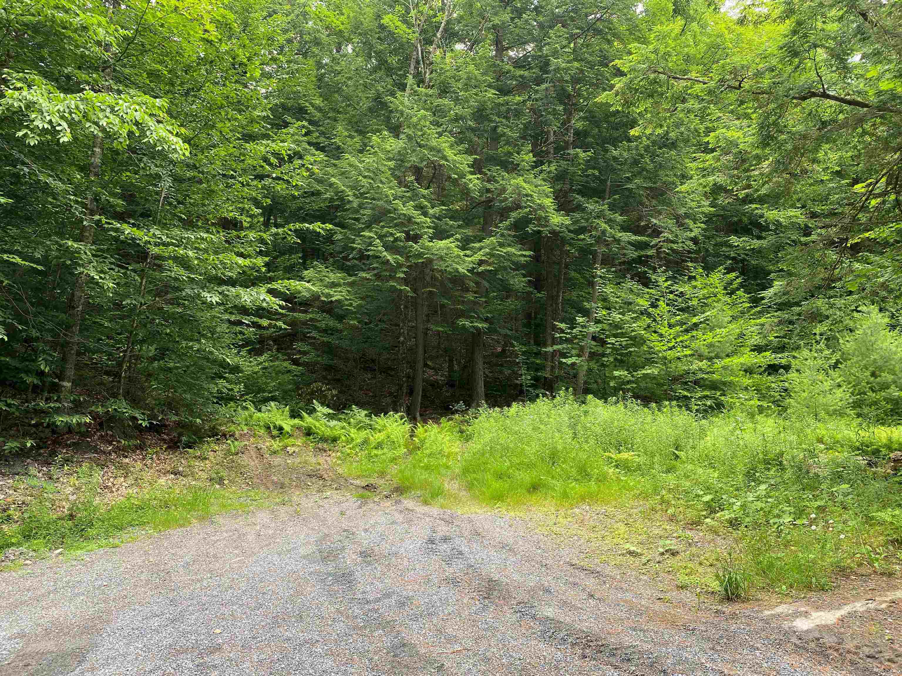 Turnpike Road South Property Photo 3