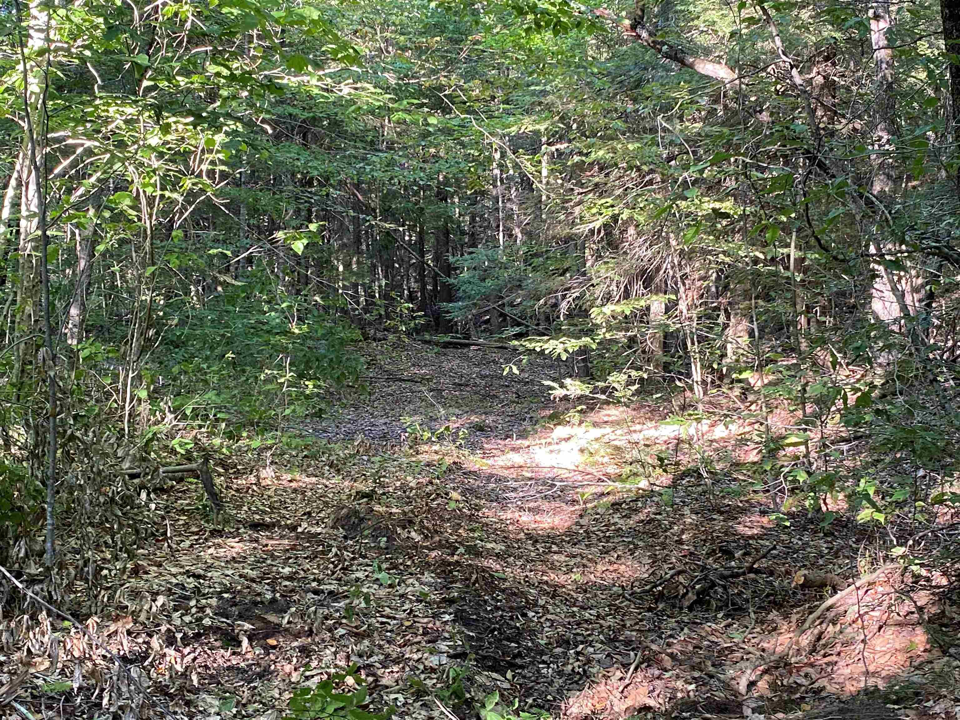 Turnpike Road South Property Photo 4