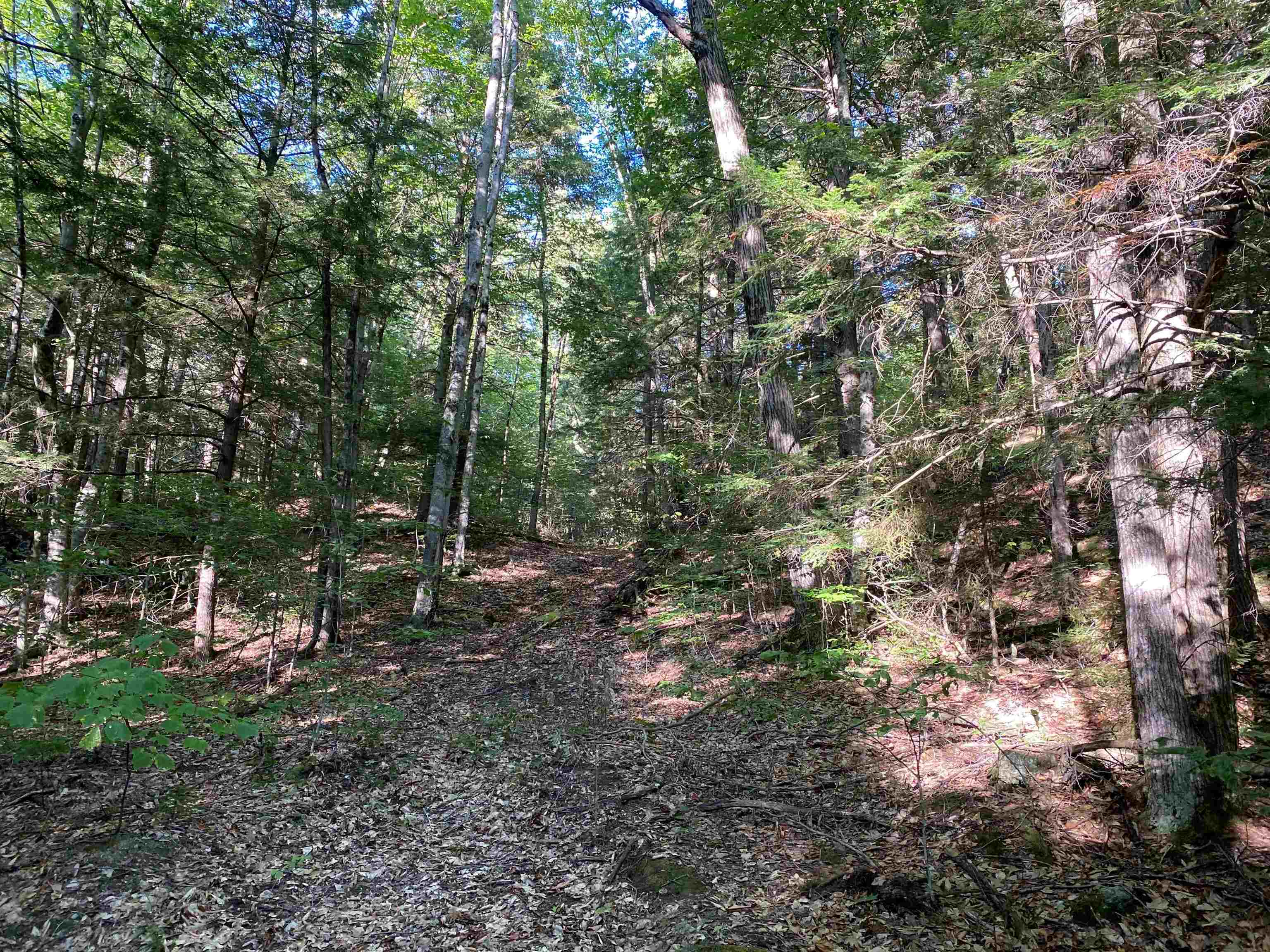 Turnpike Road South Property Photo 5