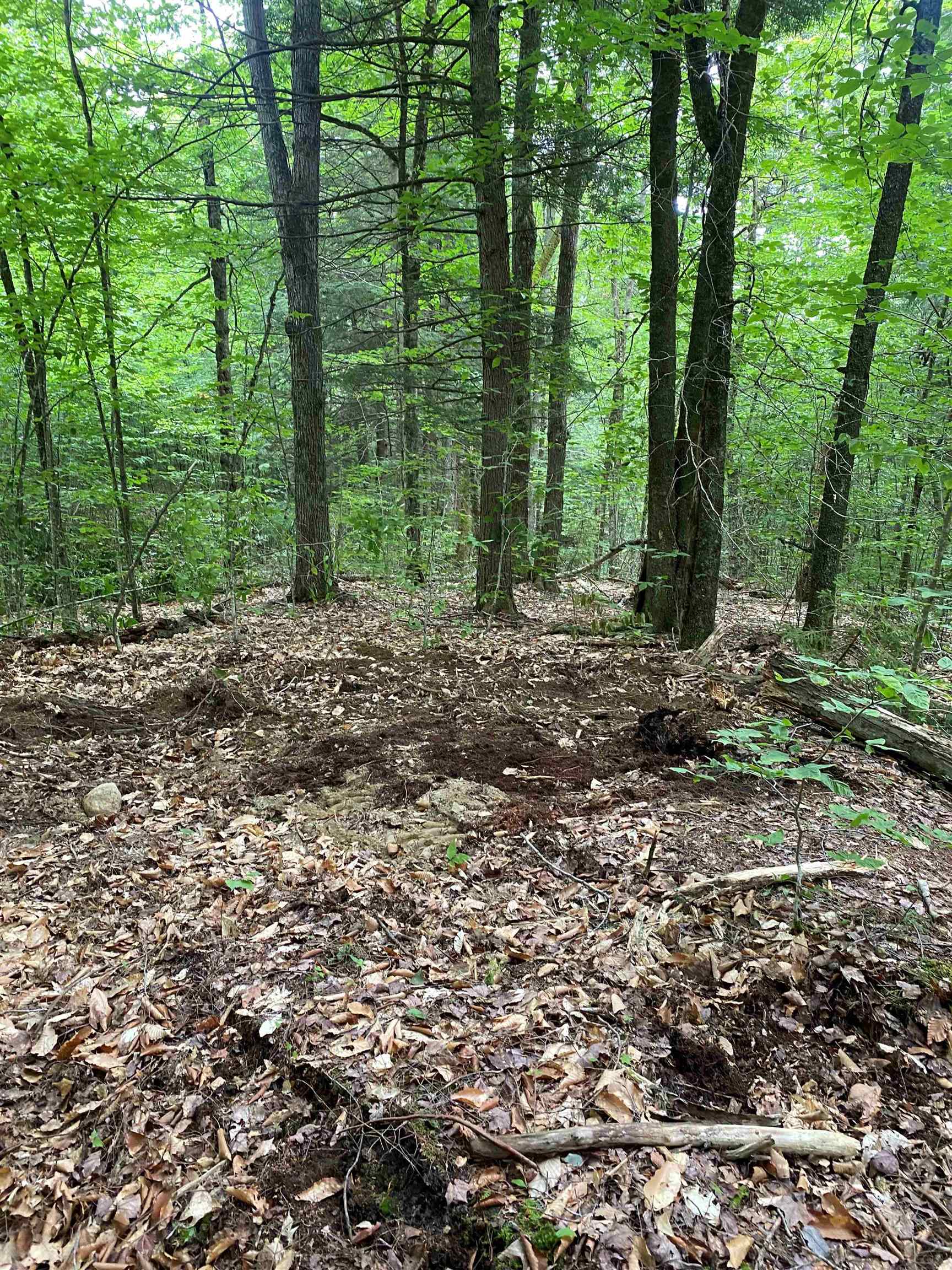 Turnpike Road South Property Photo 6