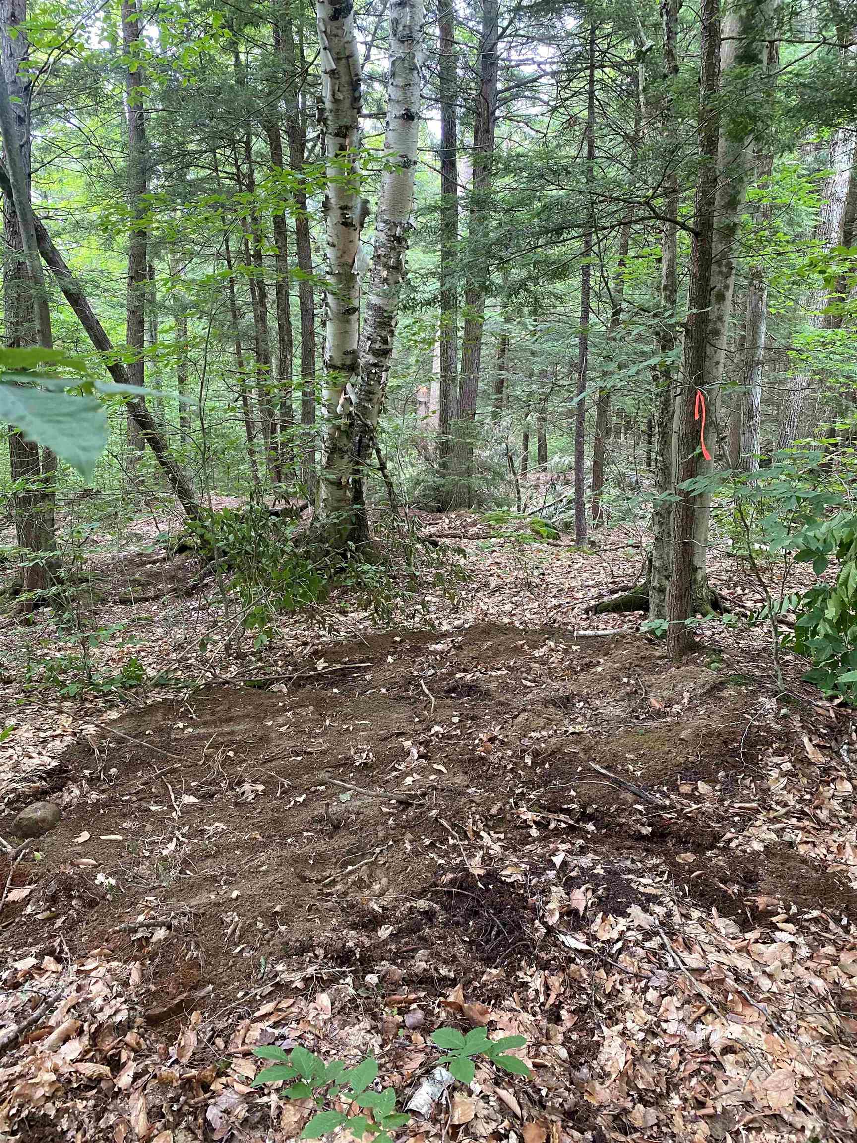Turnpike Road South Property Photo 7