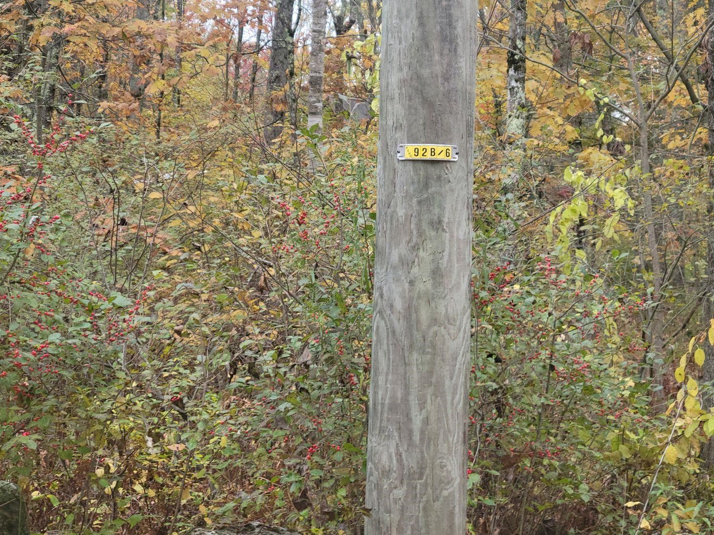M2-l29-9 Province Road Property Photo 2