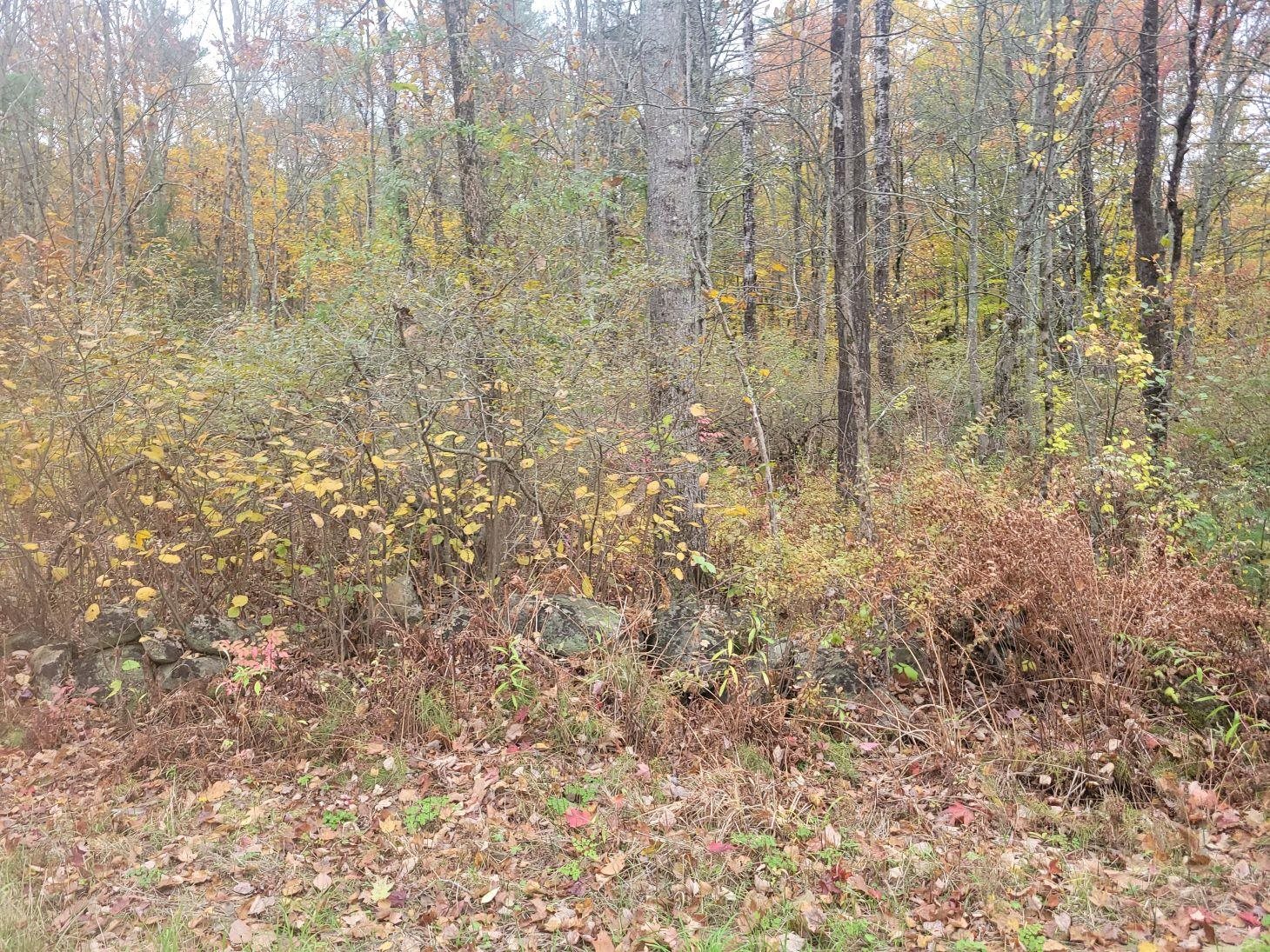 M2-l29-9 Province Road Property Photo 3