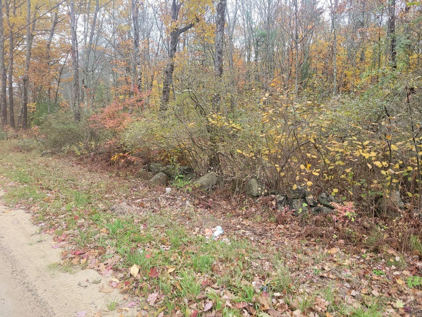 M2-l29-9 Province Road Property Photo 5