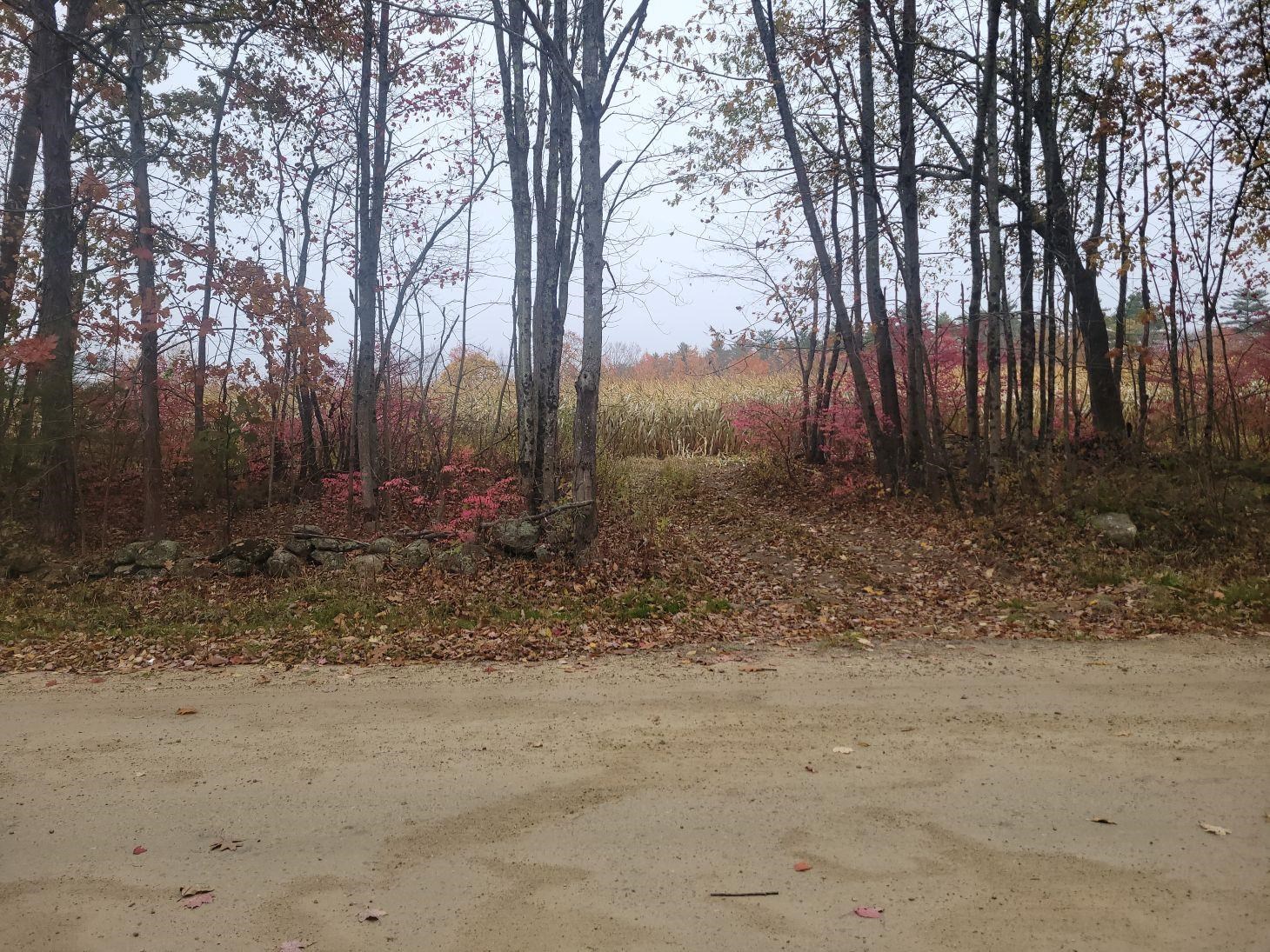 M2-l29-9 Province Road Property Photo 6