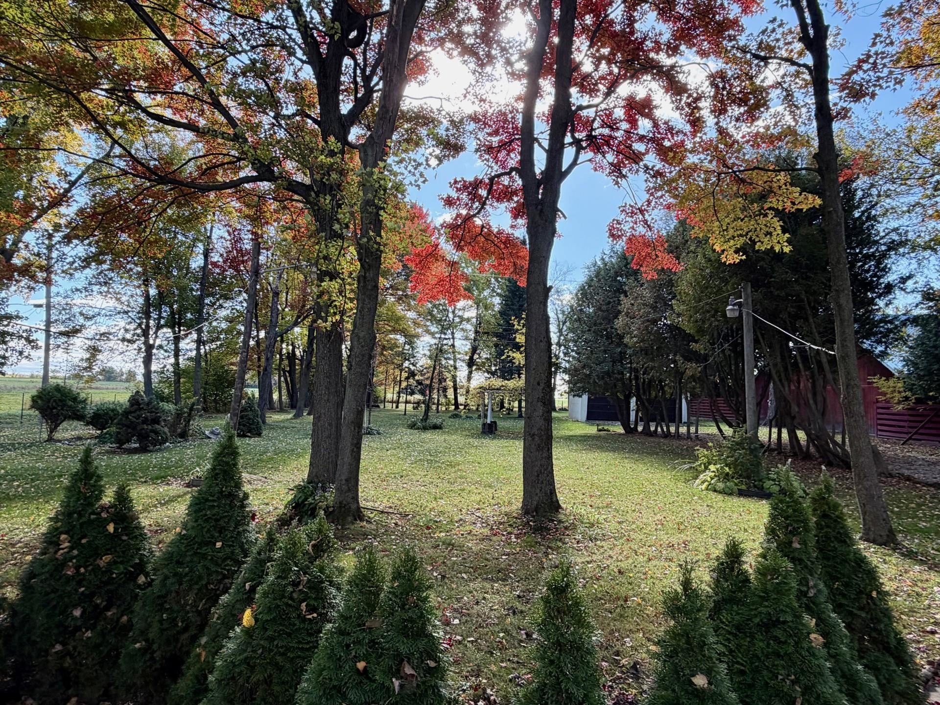 33 Leo Drive Property Photo 43