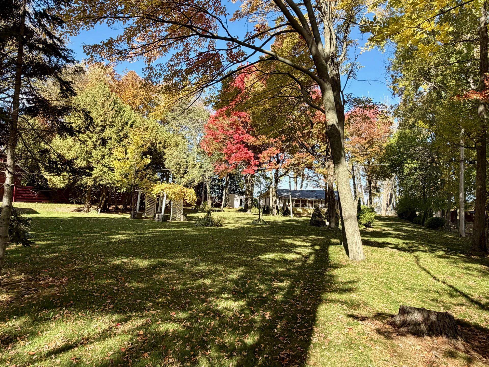 33 Leo Drive Property Photo 44