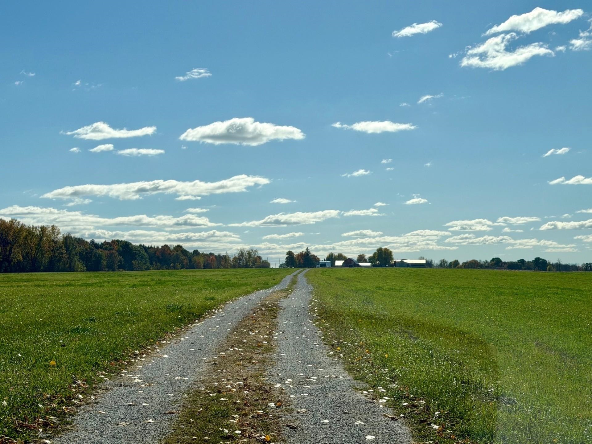 33 Leo Drive Property Photo 46