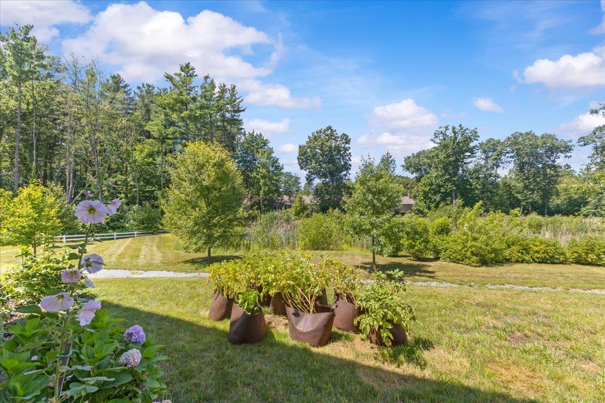 341 O'brien Farm Road Property Photo 26