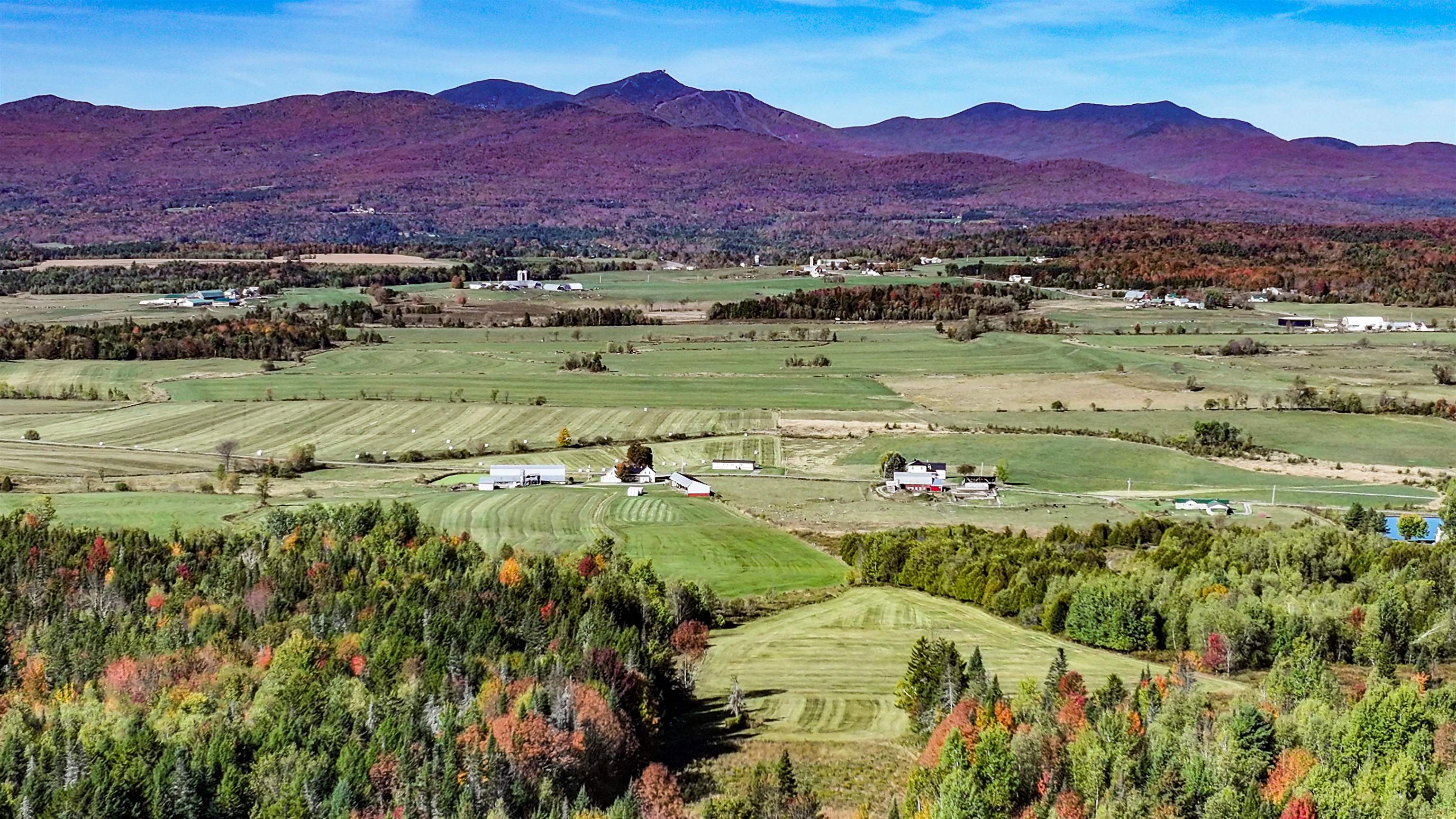 1320 Collins Mill Road Property Photo 10