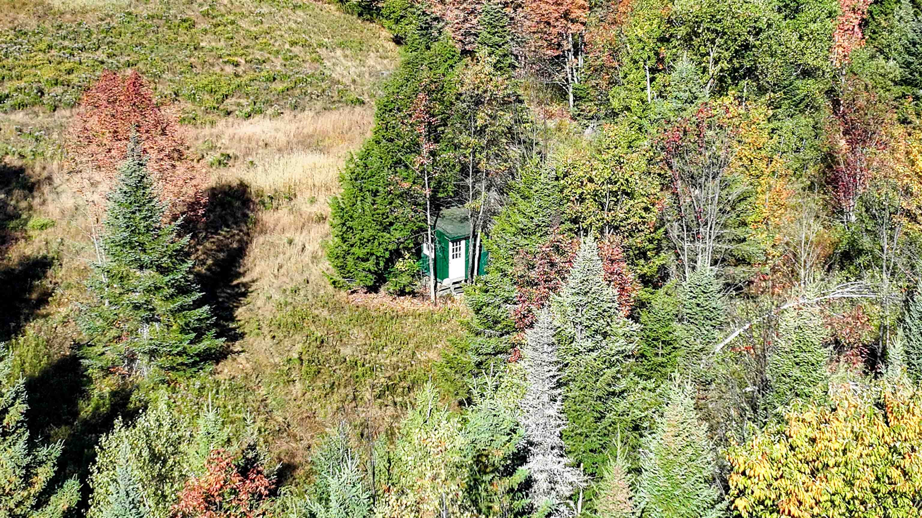 1320 Collins Mill Road Property Photo 13