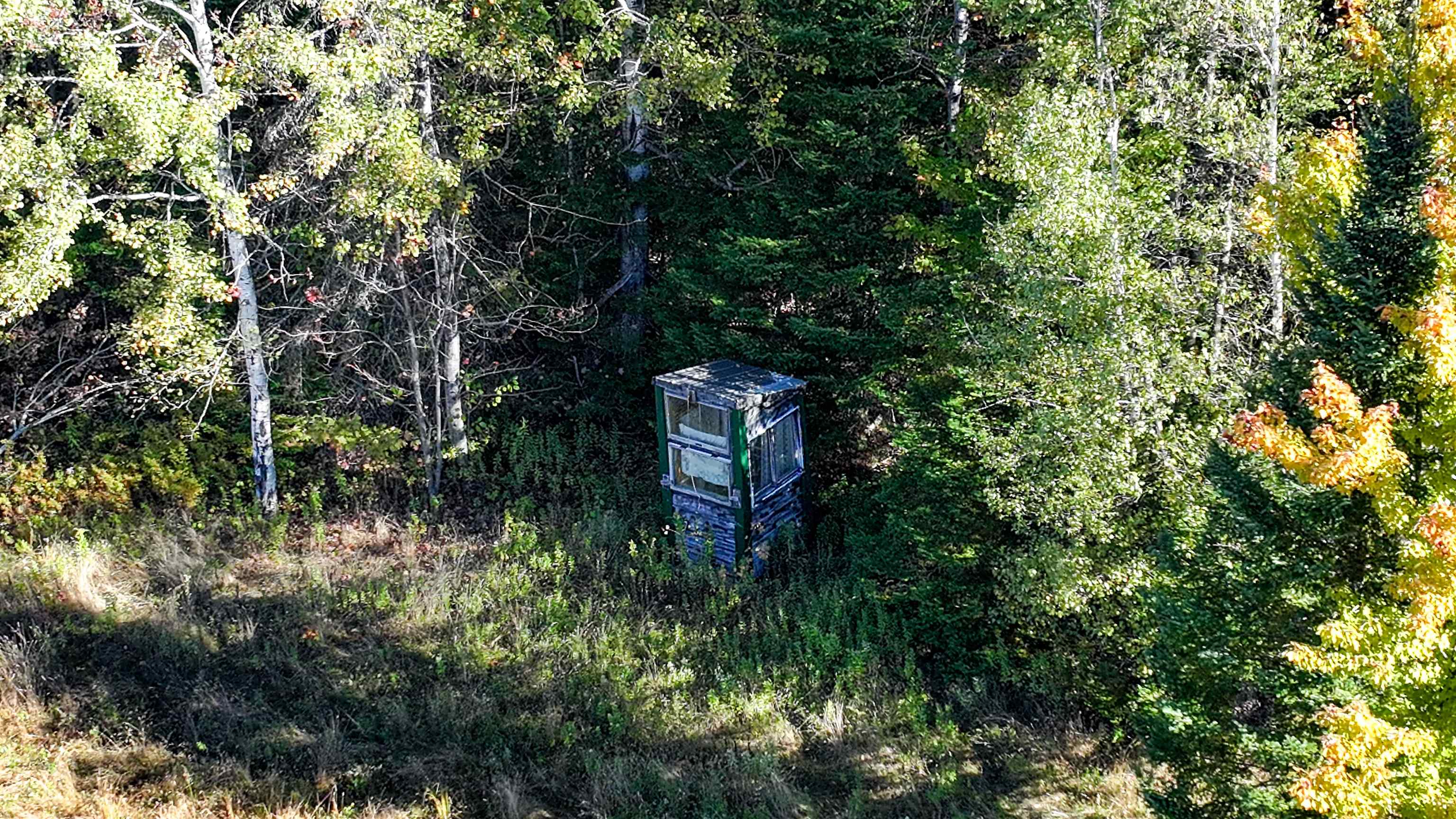 1320 Collins Mill Road Property Photo 14