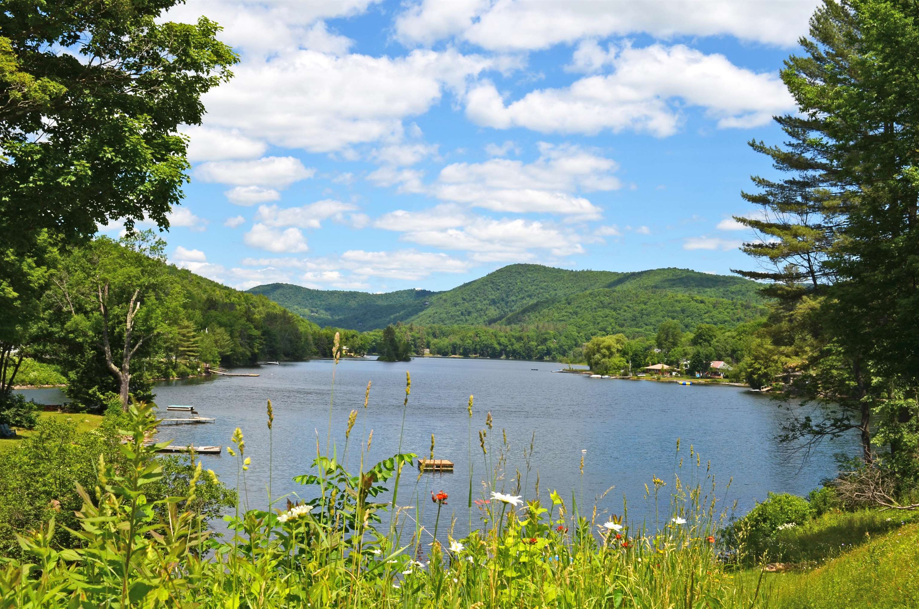 198 Depot Street Property Photo 56