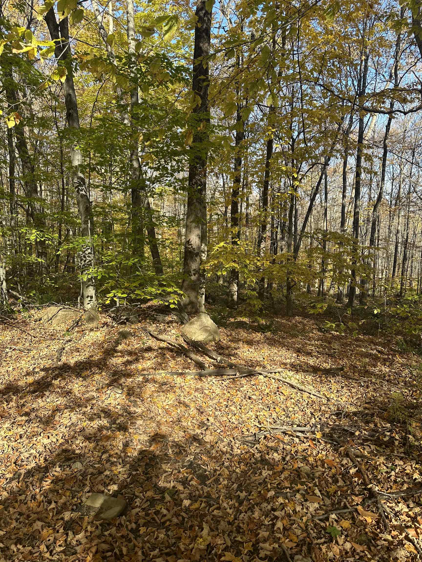 1928 Vt. Route 131 Property Photo 14