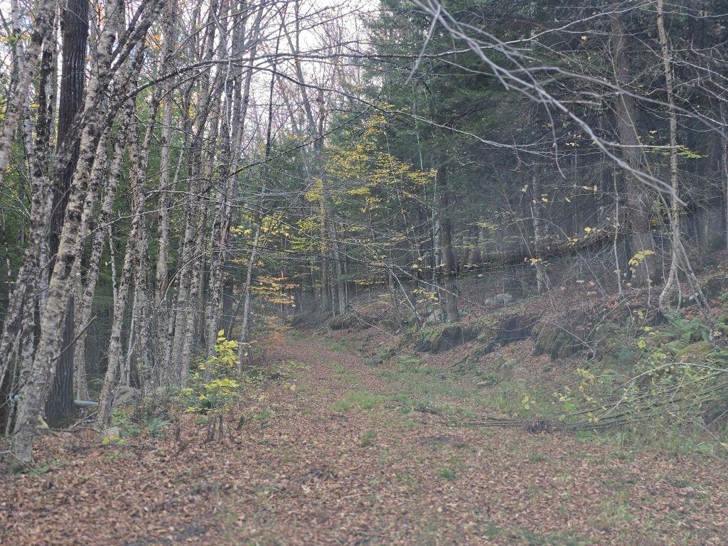 1928 Vt. Route 131 Property Photo 15