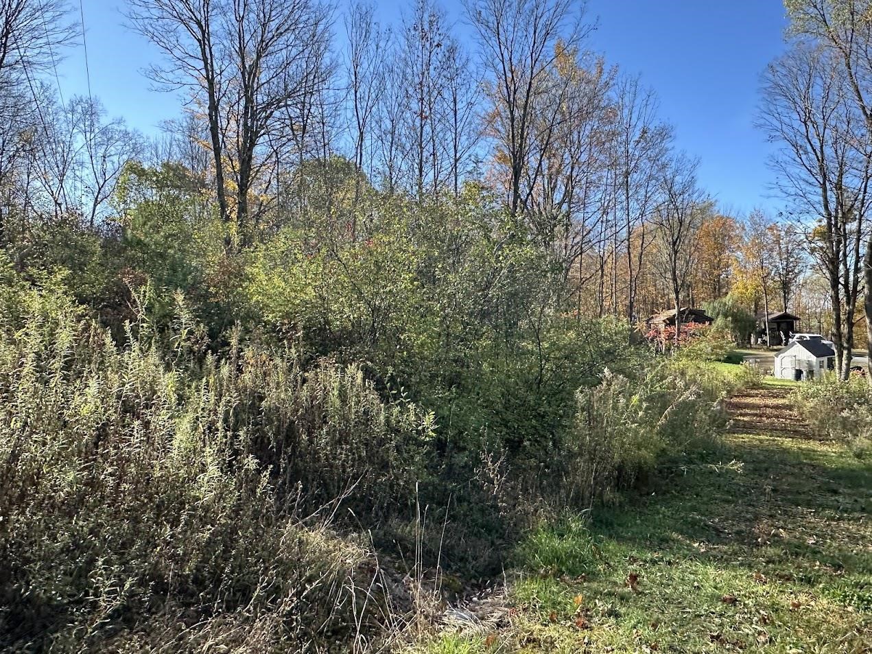 744 Webster Road Property Photo 15
