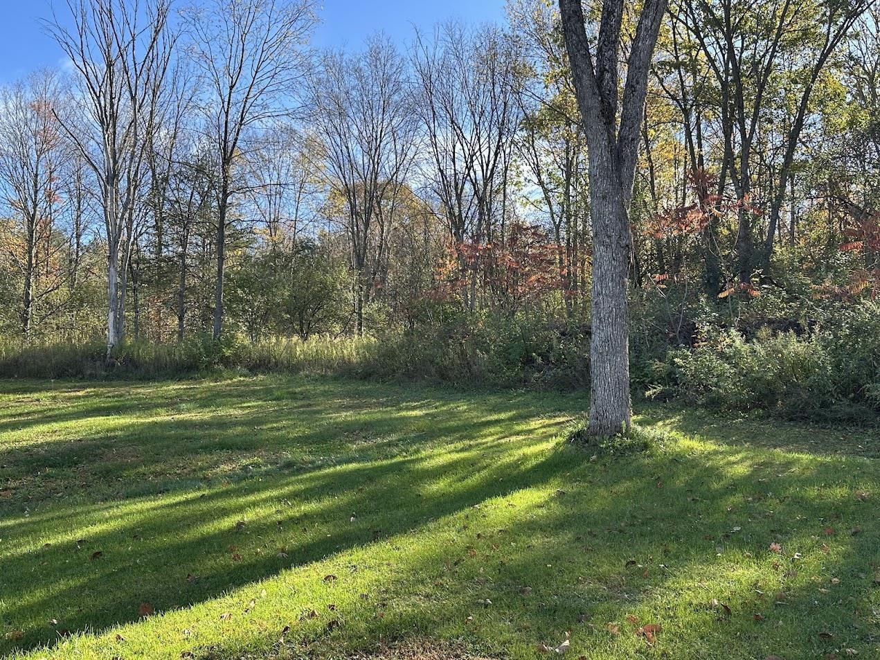 744 Webster Road Property Photo 17