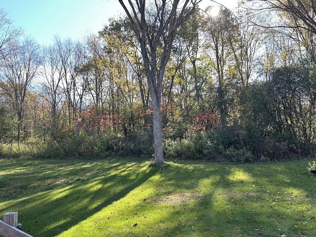 744 Webster Road Property Photo 19