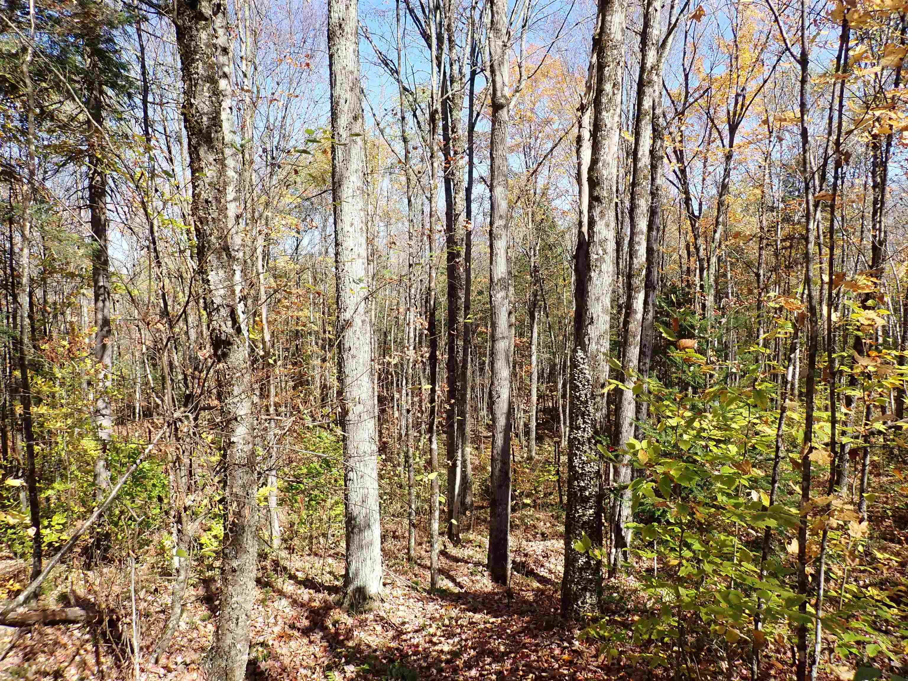 501 Fellows Road Property Photo 23