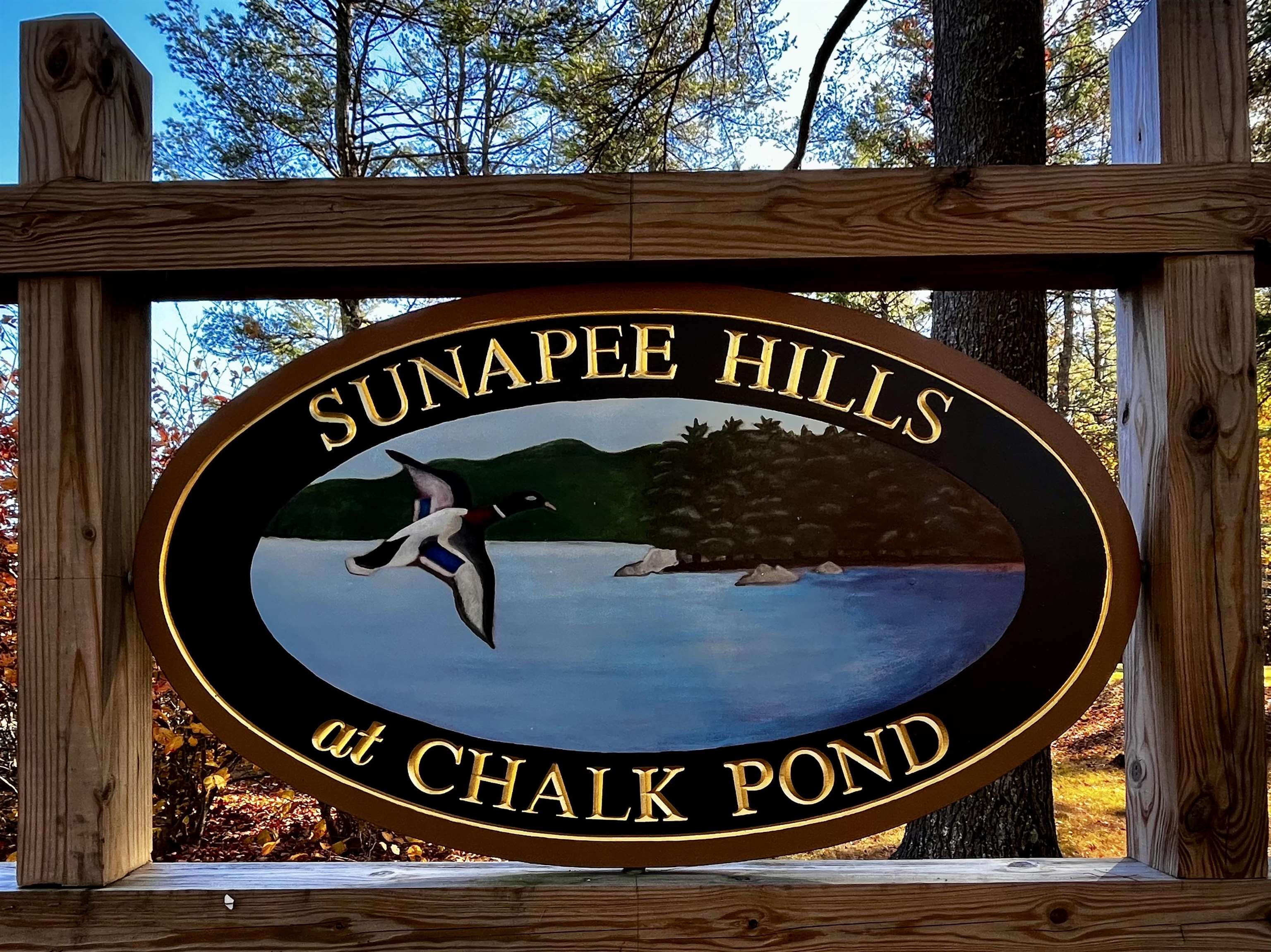 344 Chalk Pond Road Property Photo 43