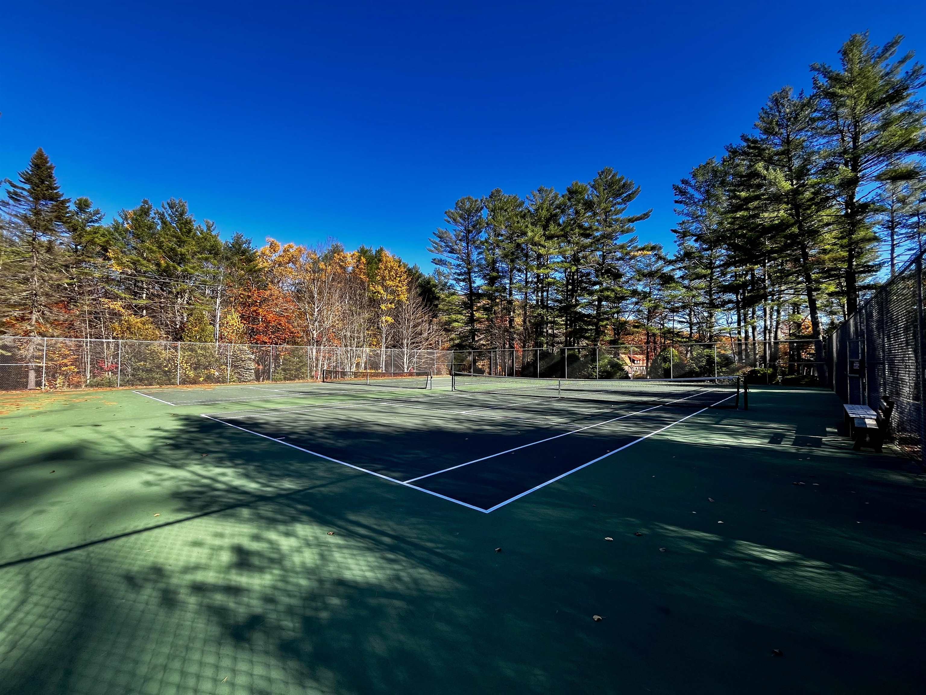 344 Chalk Pond Road Property Photo 48