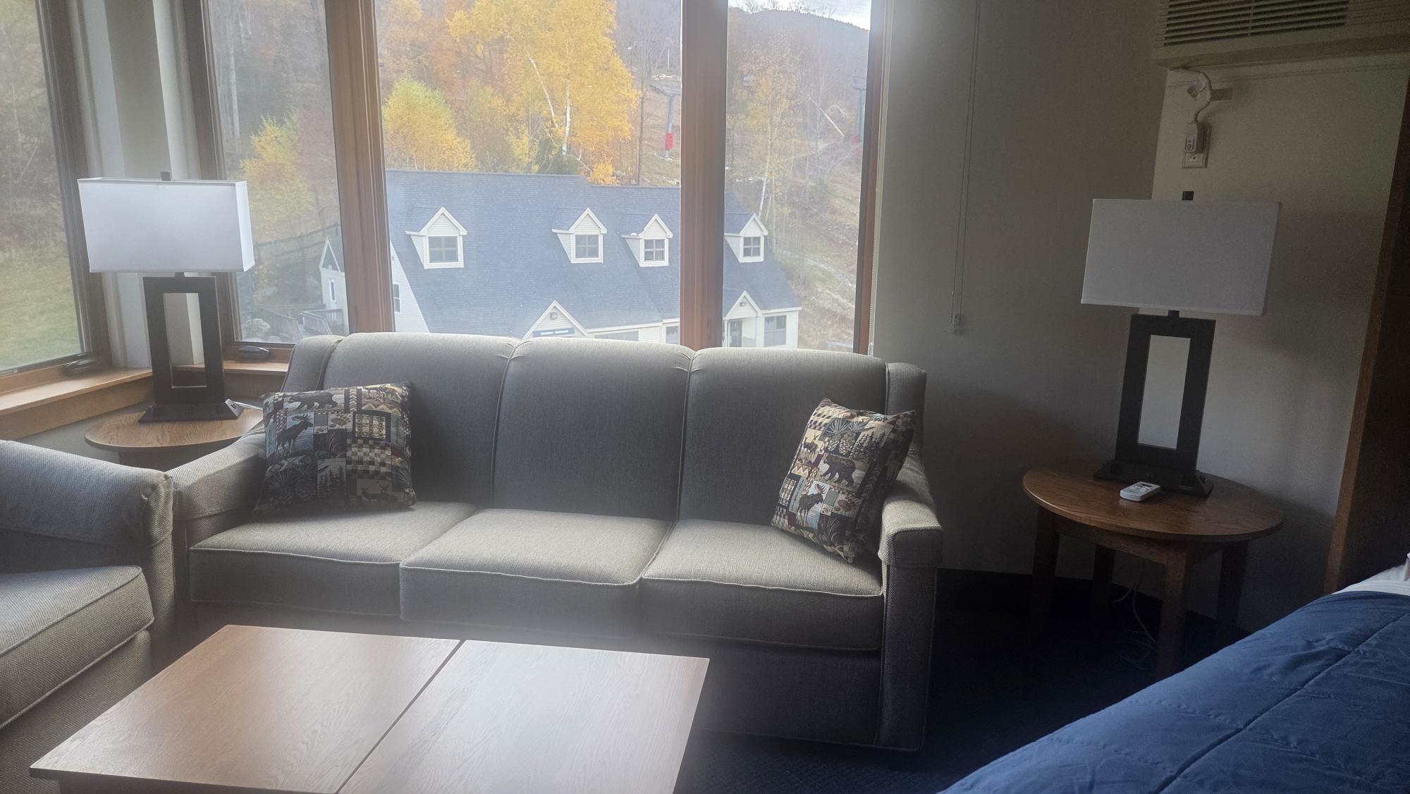 90 Loon Mountain Road Property Photo 5