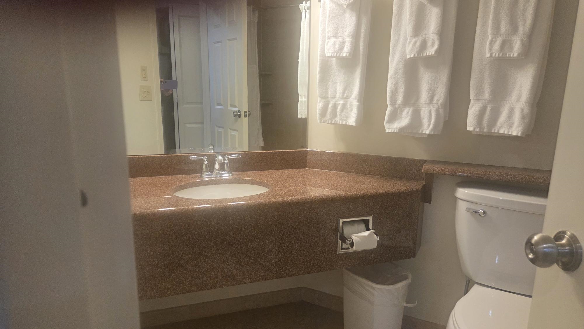 90 Loon Mountain Road Property Photo 8