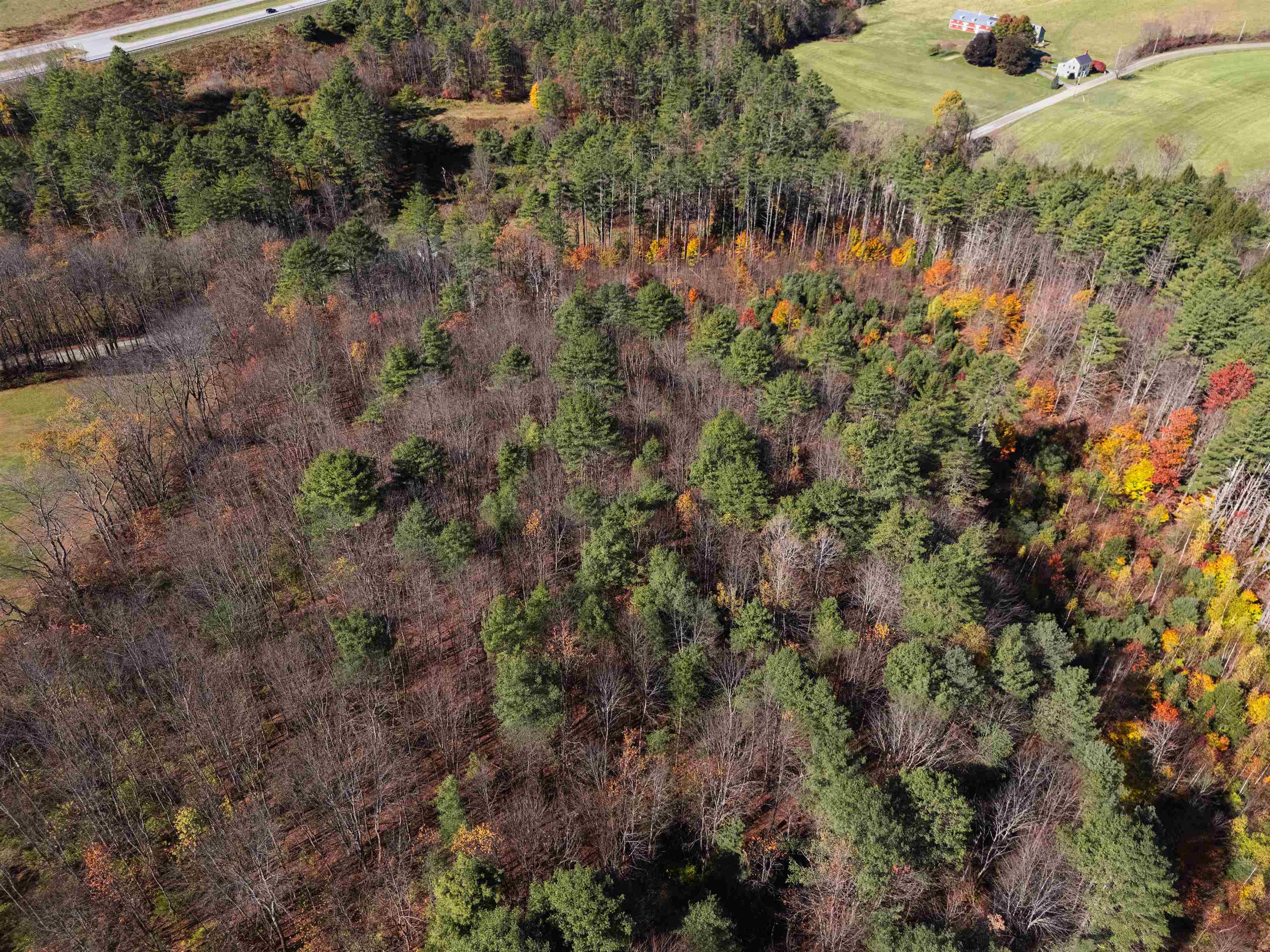 911 Waterman Road Property Photo 5