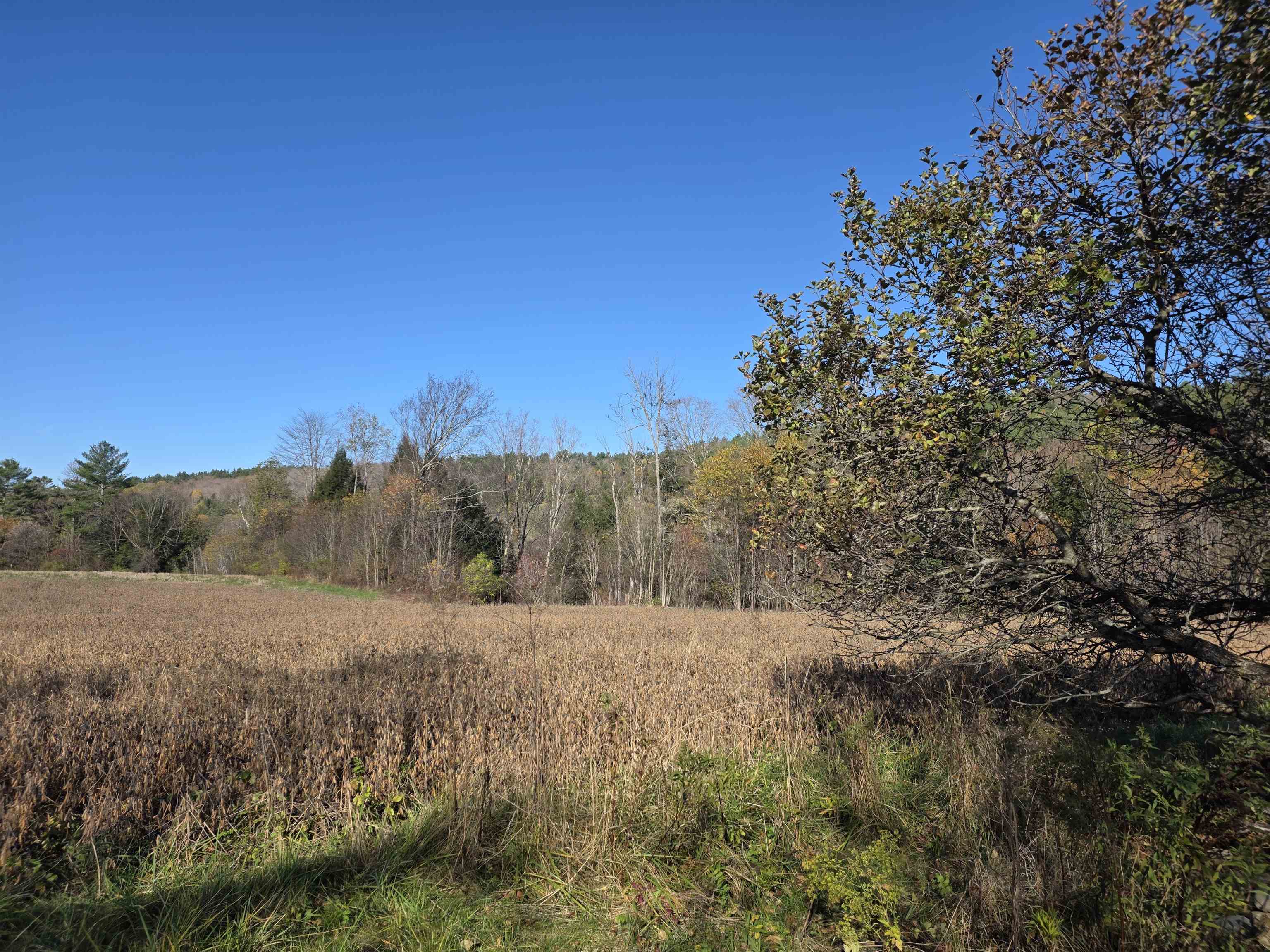 000 Us Route 2 Property Photo 14